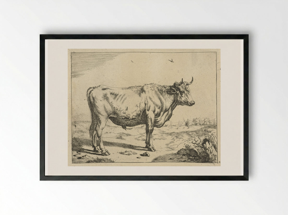 Stier, staand naar rechts, met vogels - Marcus de Bye - Framed Print Black