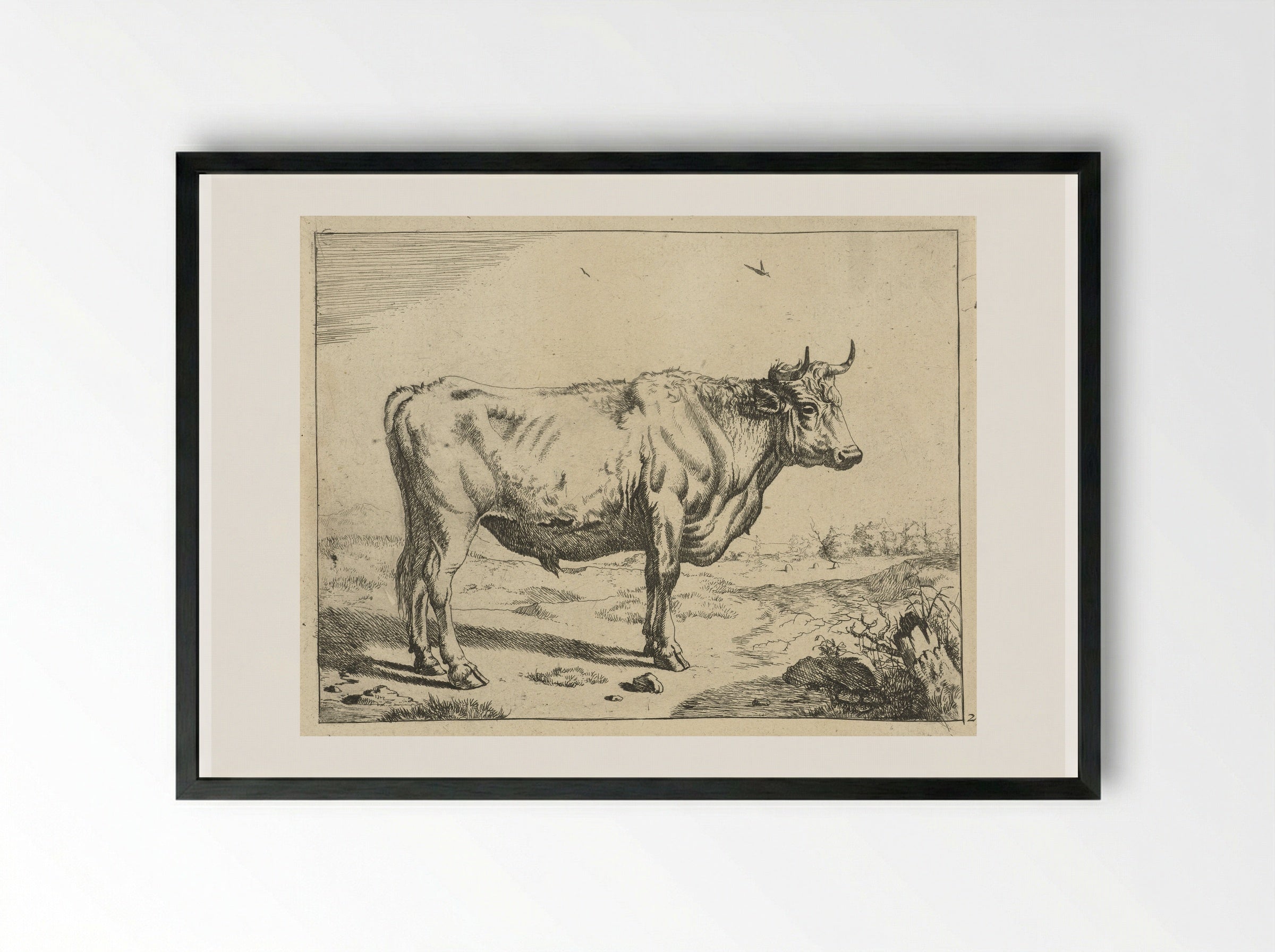 Stier, staand naar rechts, met vogels - Marcus de Bye - Framed Print Black