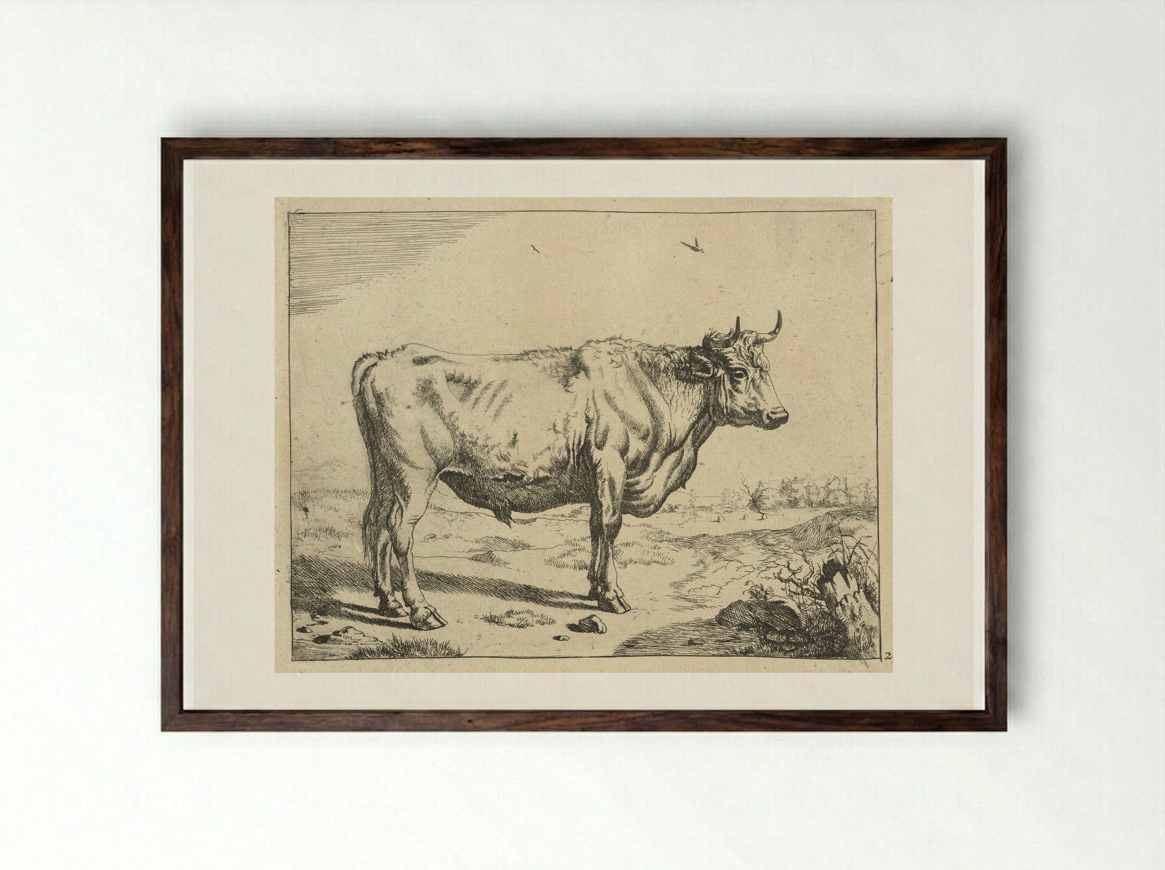 Stier, staand naar rechts, met vogels - Marcus de Bye - Framed Print Dark Wood