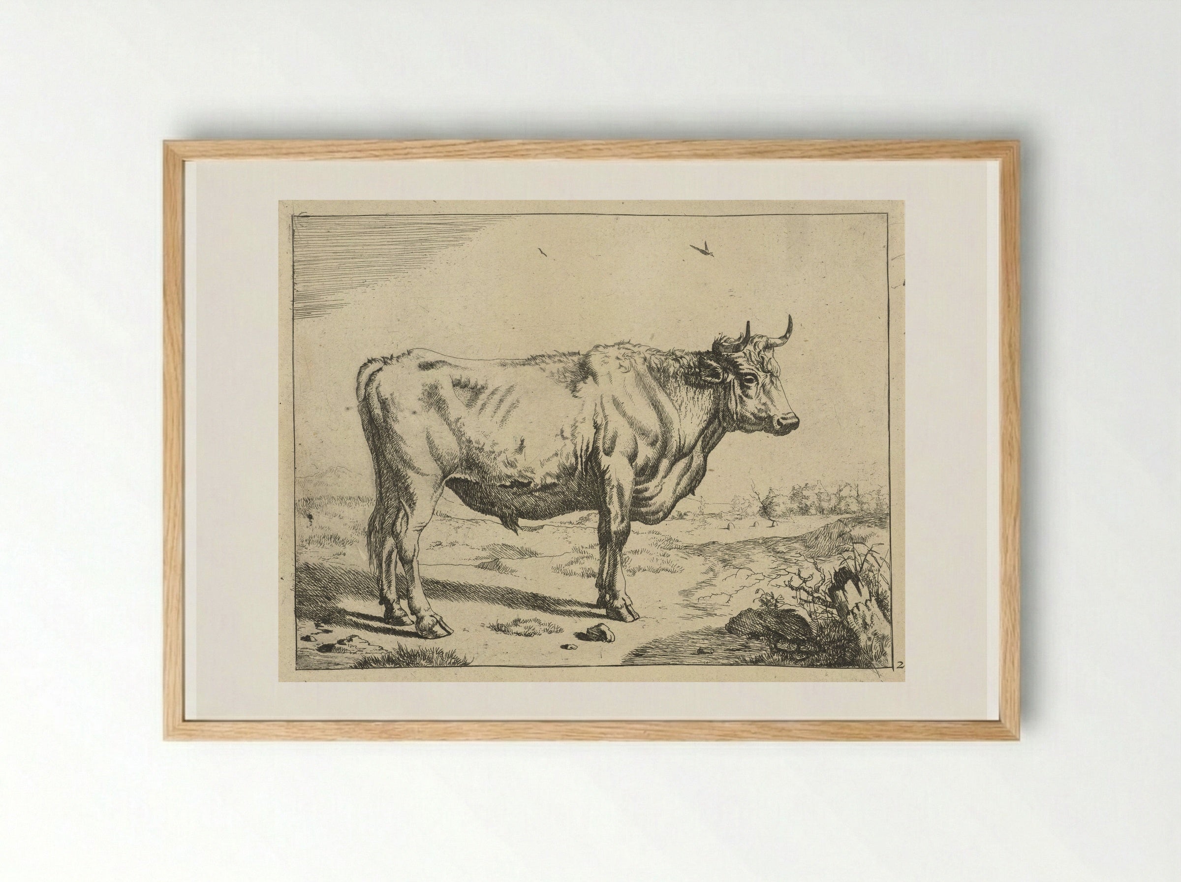 Stier, staand naar rechts, met vogels - Marcus de Bye - Framed Print Wood