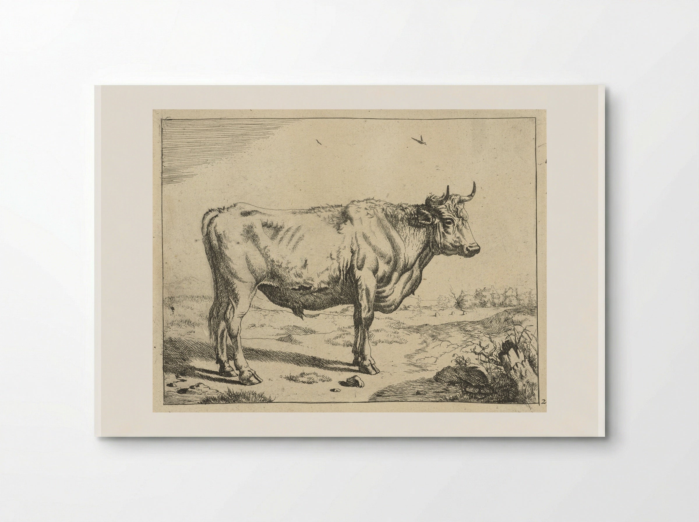 Stier, staand naar rechts, met vogels - Marcus de Bye - Poster