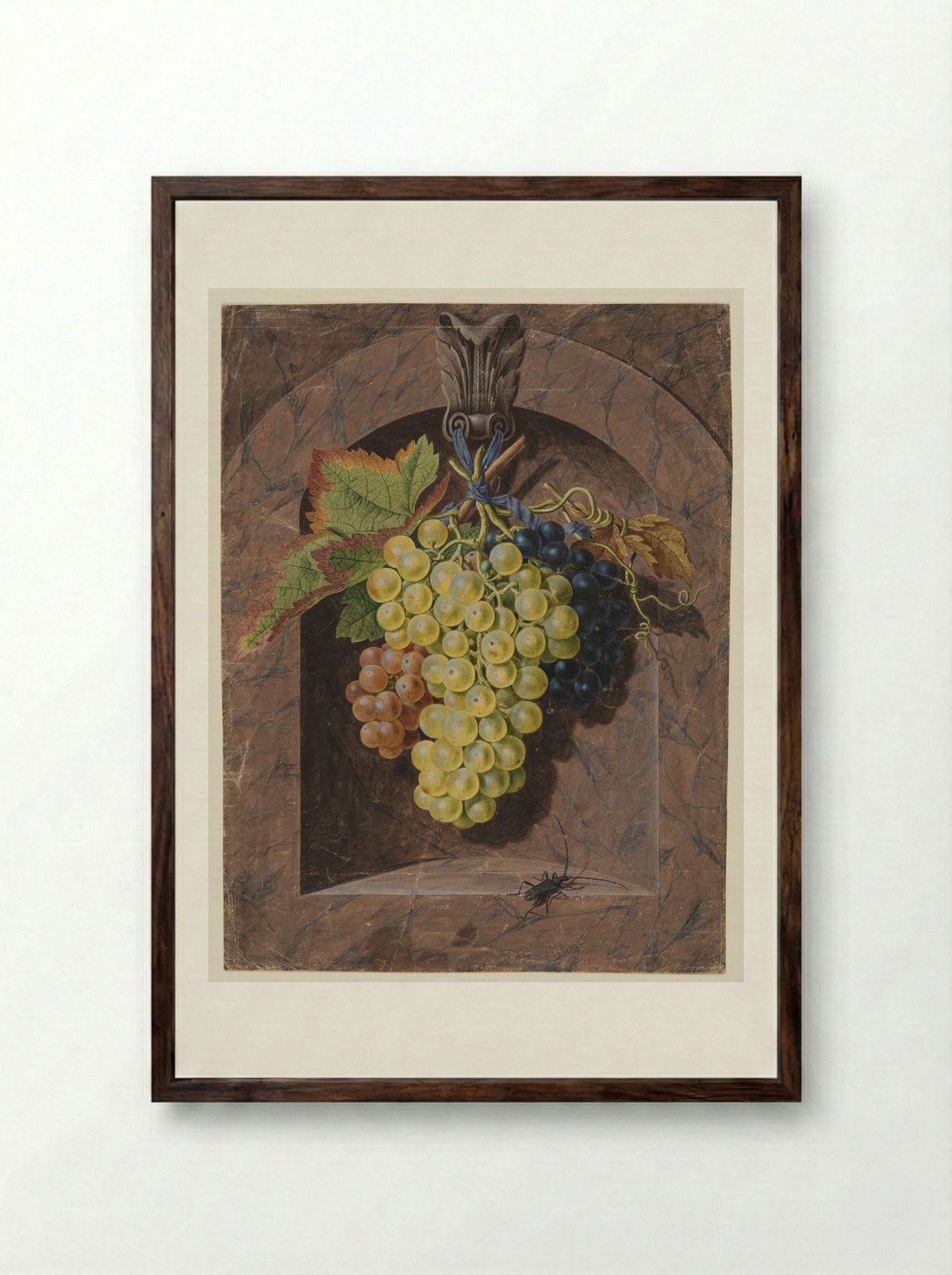 Still Life with Grapes in a Marble Niche - Johann Christian Jacob Friedrich - Framed Print Dark Wood