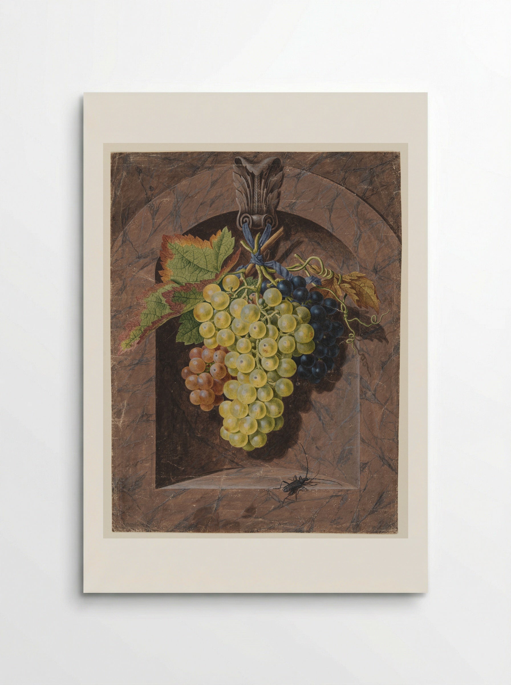 Still Life with Grapes in a Marble Niche - Johann Christian Jacob Friedrich - Poster