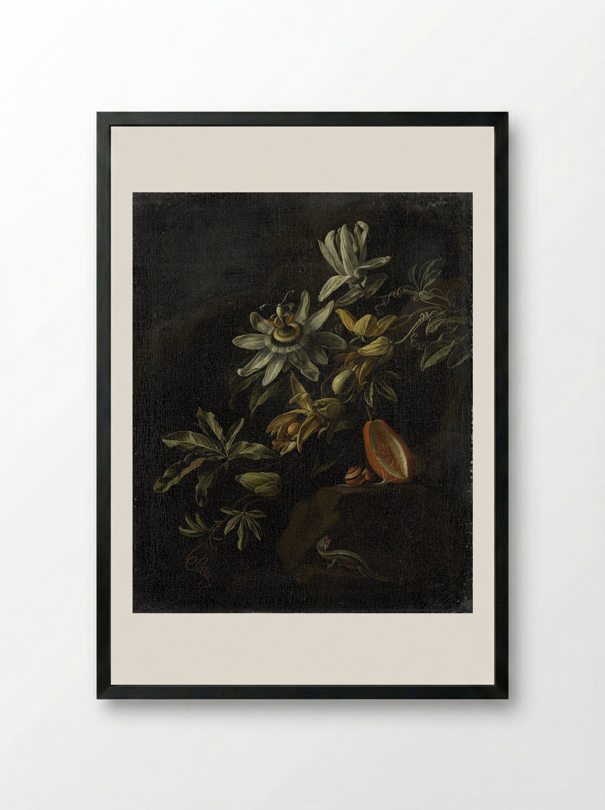 Still Life with Passion Flowers - Elias van den Broeck - Framed Print Black