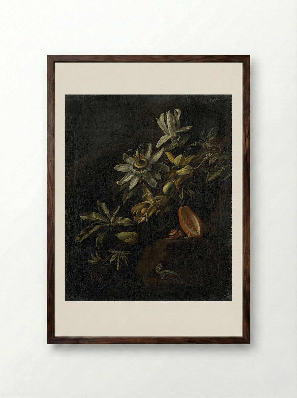 Still Life with Passion Flowers - Elias van den Broeck - Framed Print Dark Wood