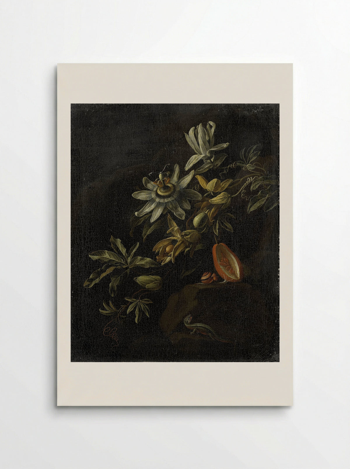 Still Life with Passion Flowers - Elias van den Broeck - Poster