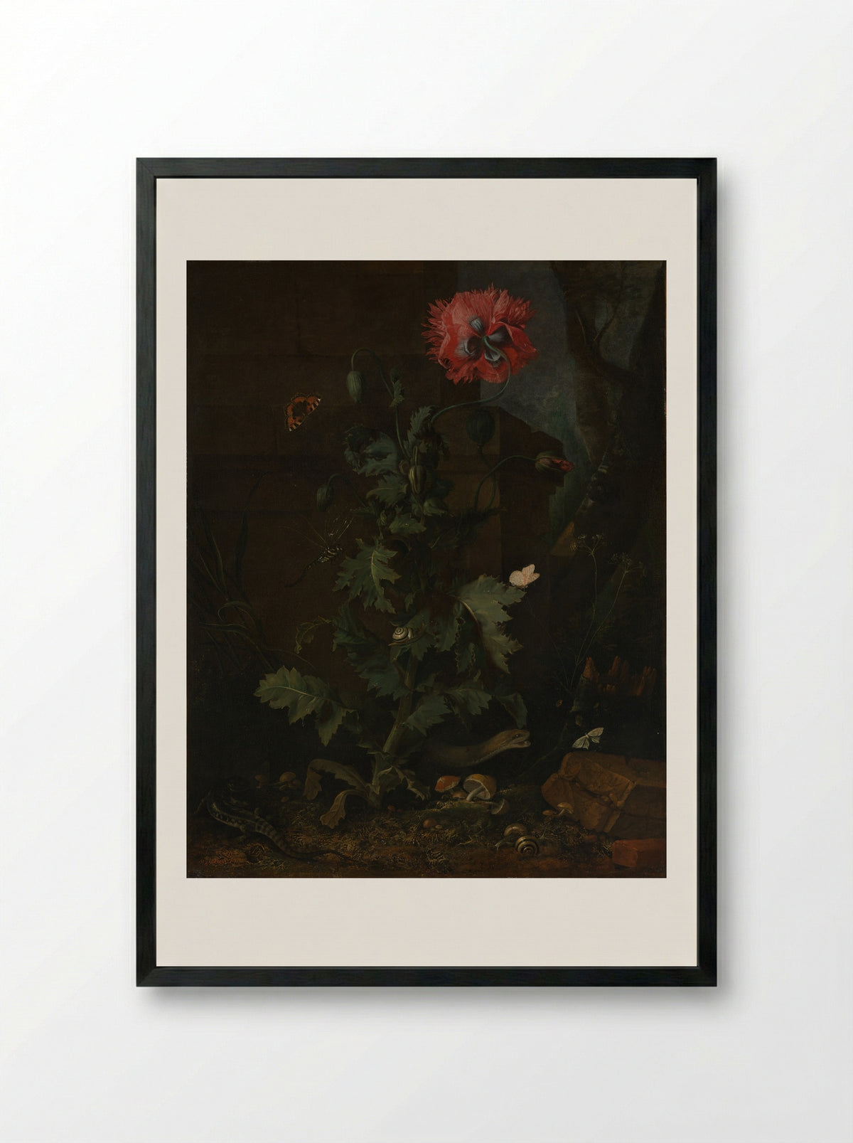 Still Life with Poppy, Insects, and Reptiles - Otto Marseus van Schrieck - Framed Print Black
