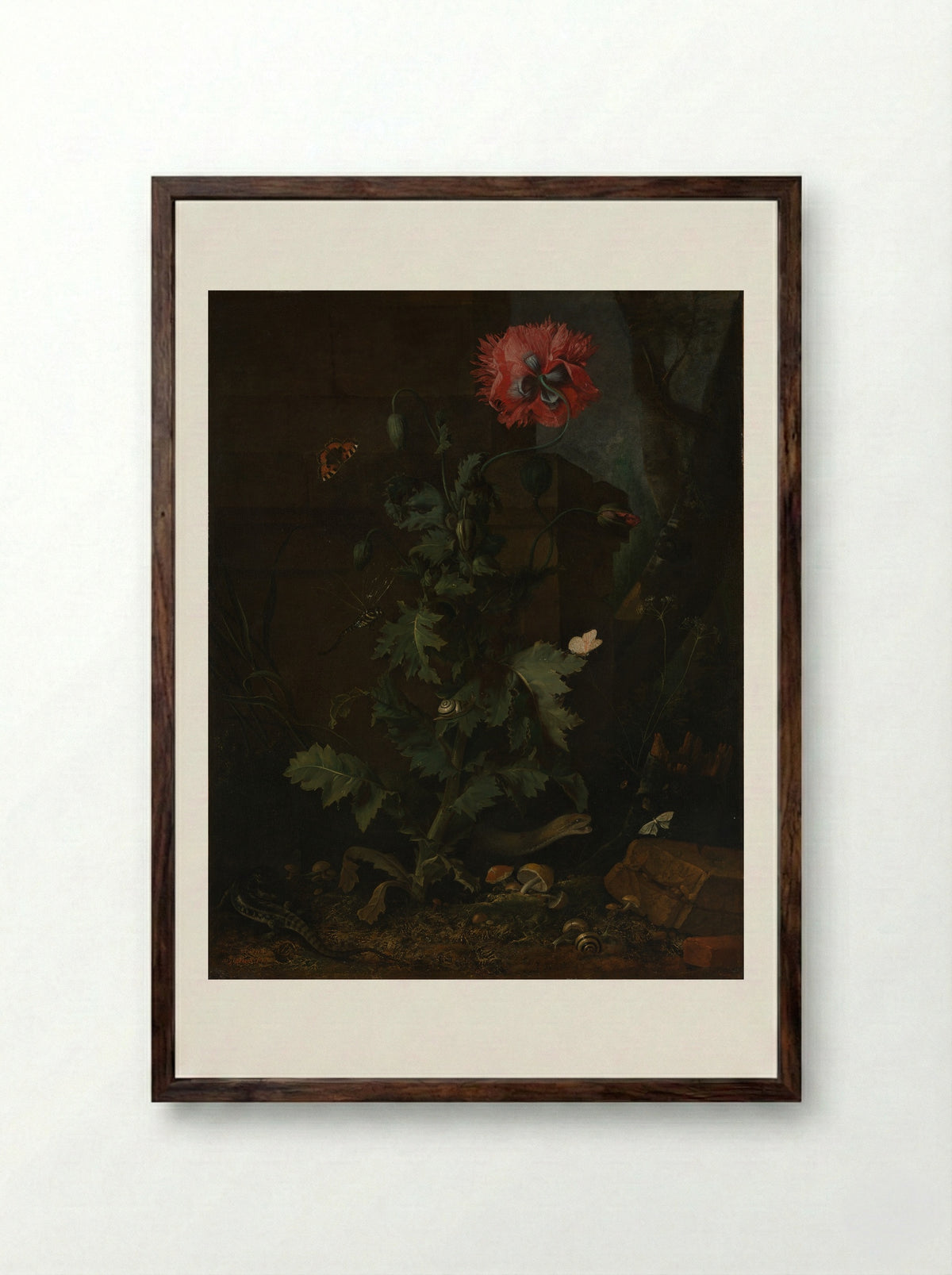 Still Life with Poppy, Insects, and Reptiles - Otto Marseus van Schrieck - Framed Print Dark Wood