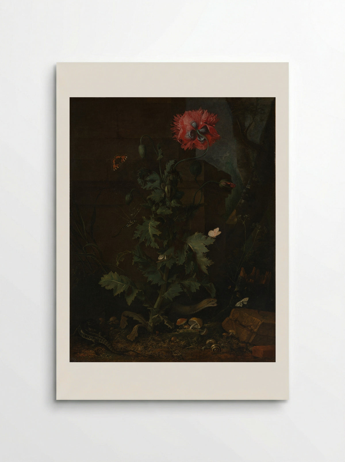 Still Life with Poppy, Insects, and Reptiles - Otto Marseus van Schrieck - Poster
