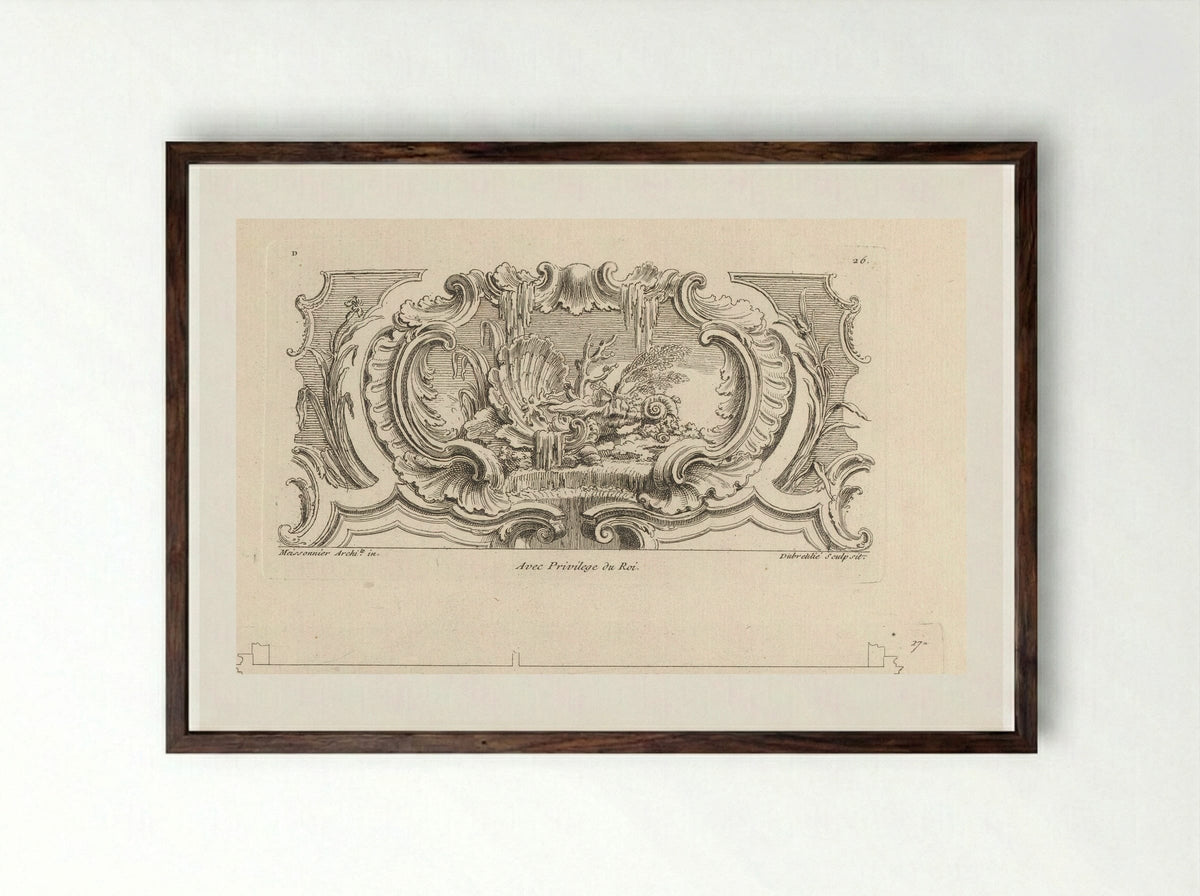 Still Life with Shells, Plants and Coral on a Waterfall - Gabriel Huquier - Framed Print Dark Wood