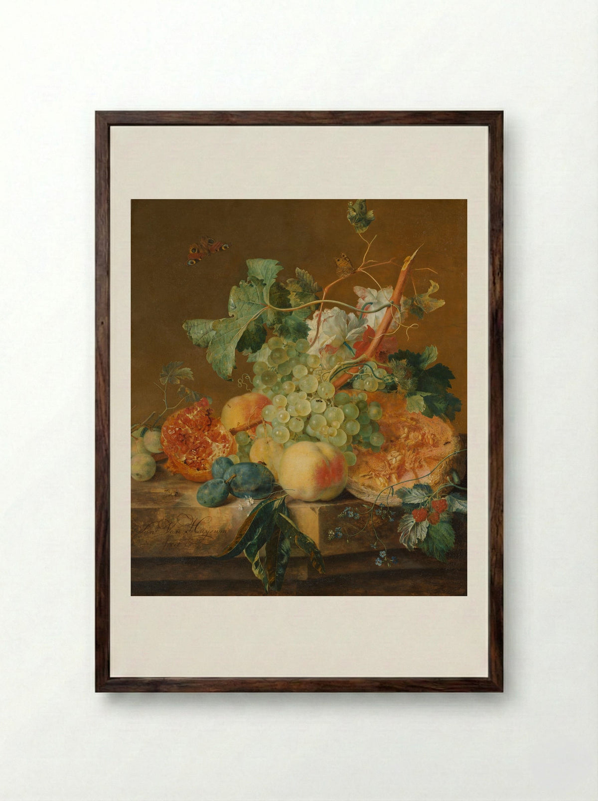 Stilleven met vruchten - Jan van Huysum - Framed Print Dark Wood