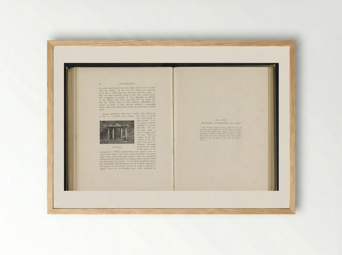 Stone Canopy at Anuradhapura - Henry William Cave - Framed Print Wood