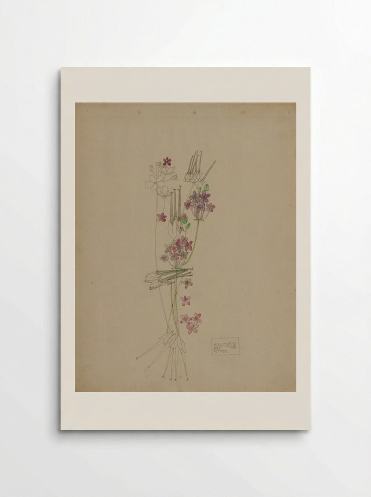 Stork's-bill, Holy Island - Charles Rennie Mackintosh - Poster