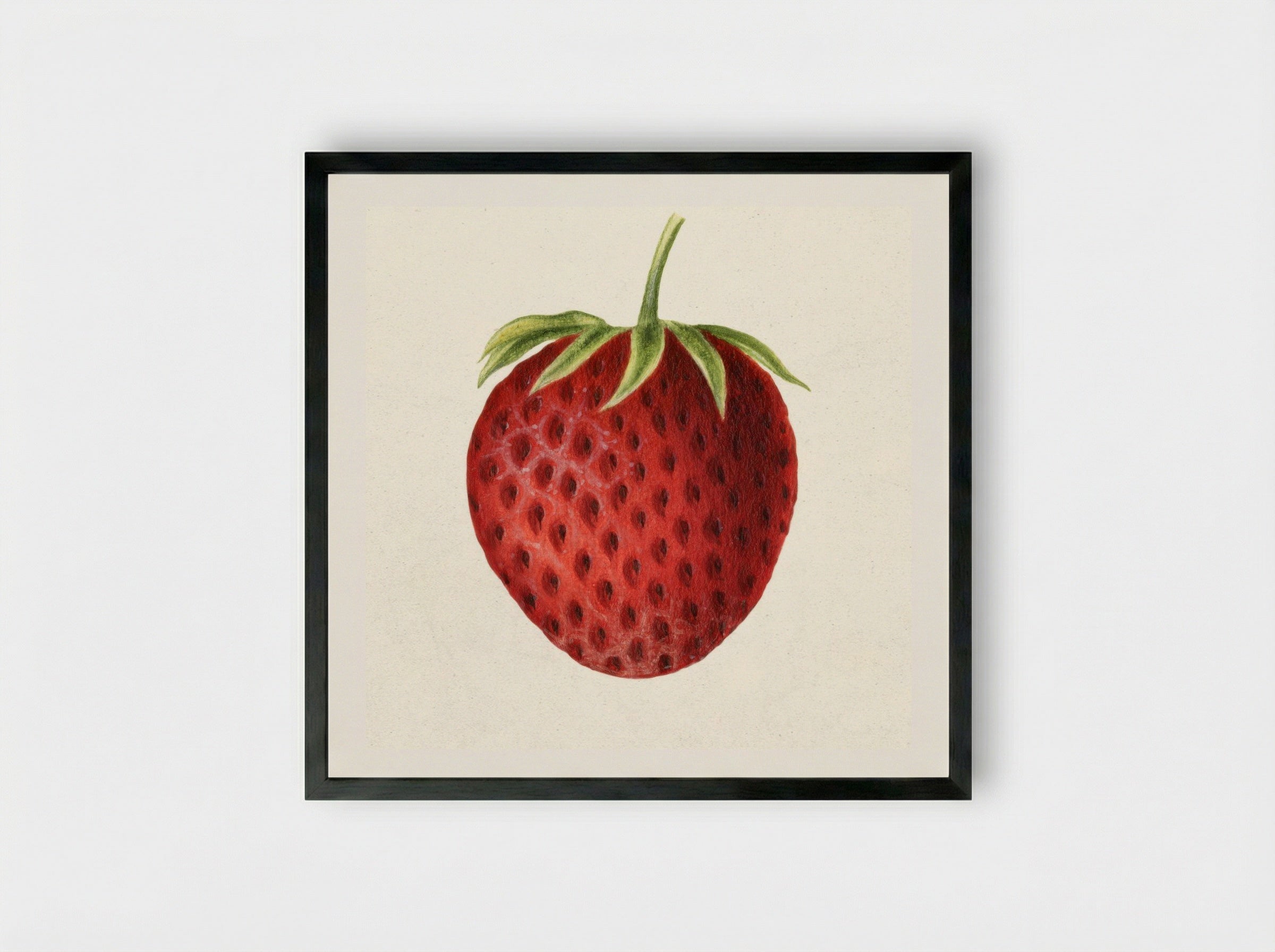 Strawberry (1891) - William Henry Prestele - Framed Print Black