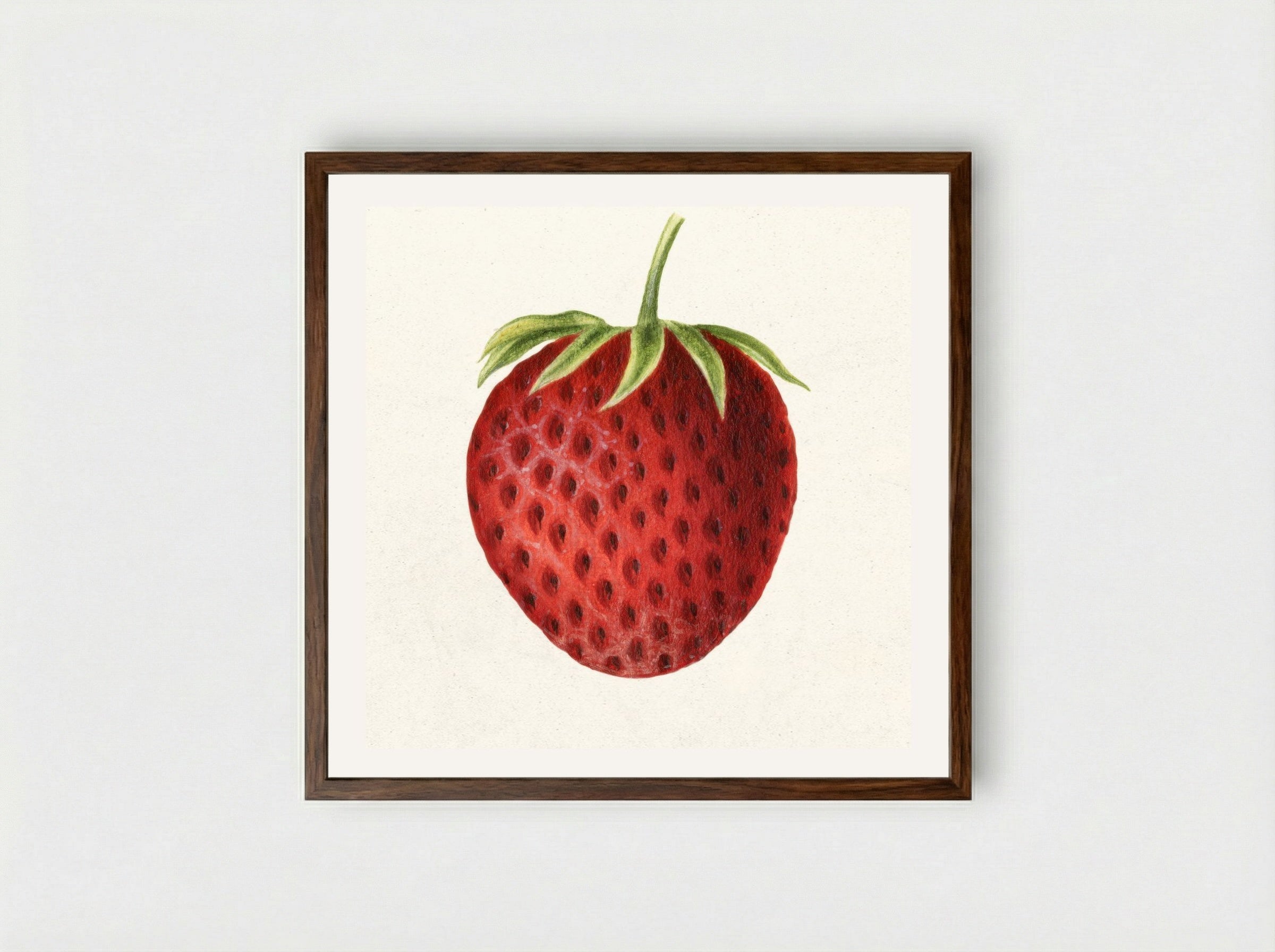 Strawberry (1891) - William Henry Prestele - Framed Print Dark Wood