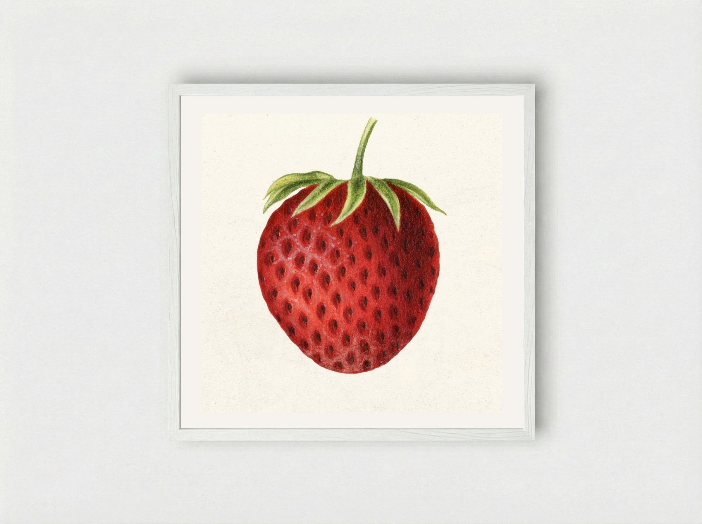 Strawberry (1891) - William Henry Prestele - Framed Print White