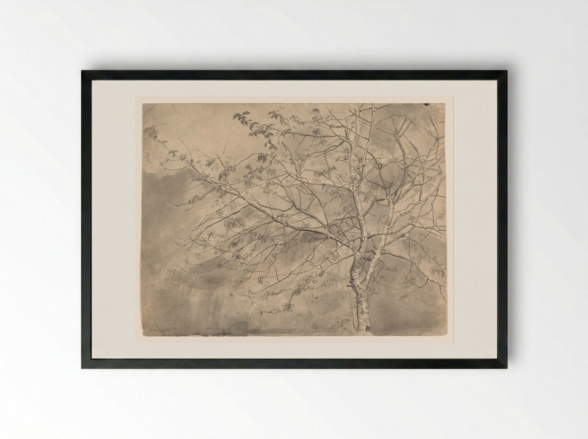 Studie van een olm - Coba Steenhoff - Framed Print Black
