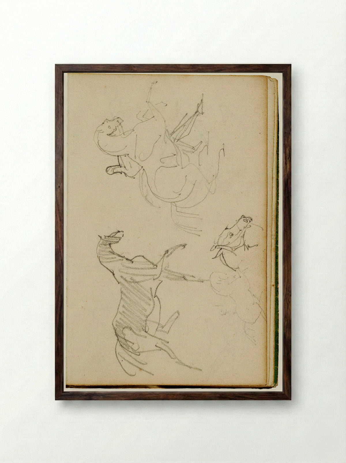 Studies of a Cat - Théodore Géricault - Framed Print Dark Wood