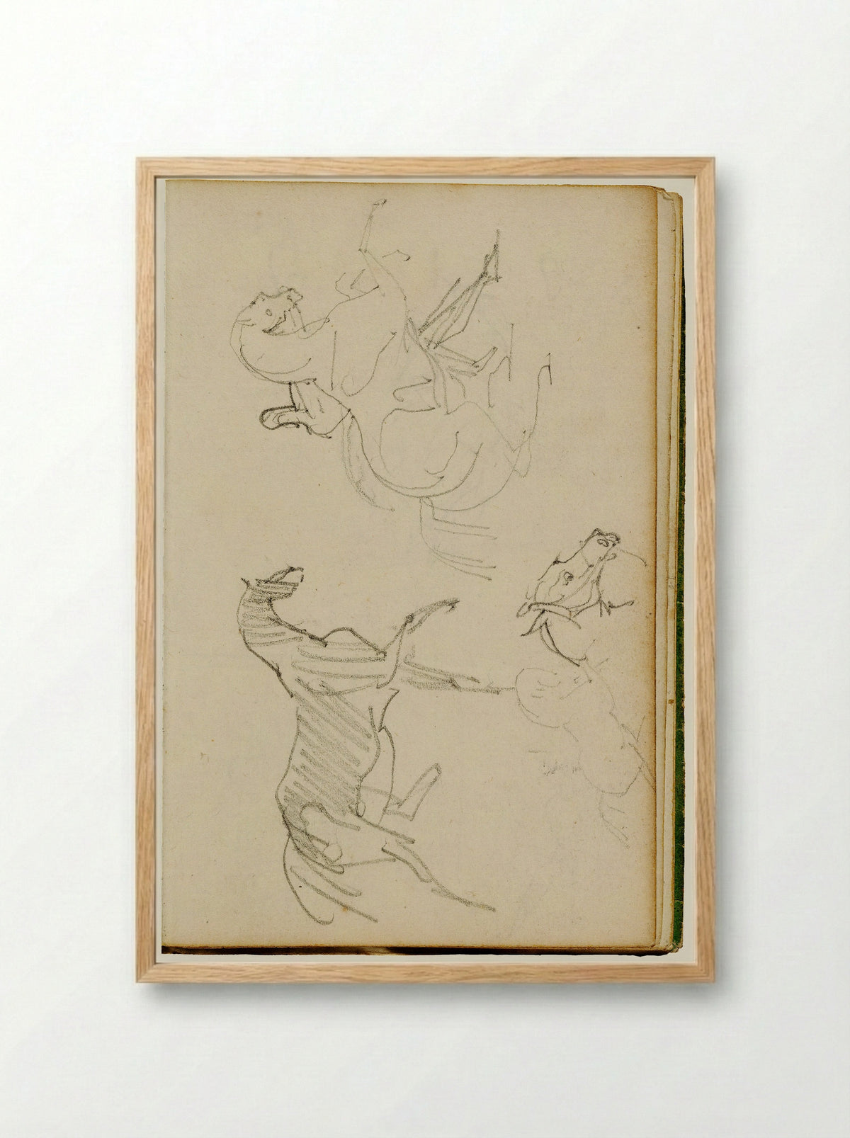 Studies of a Cat - Théodore Géricault - Framed Print Wood