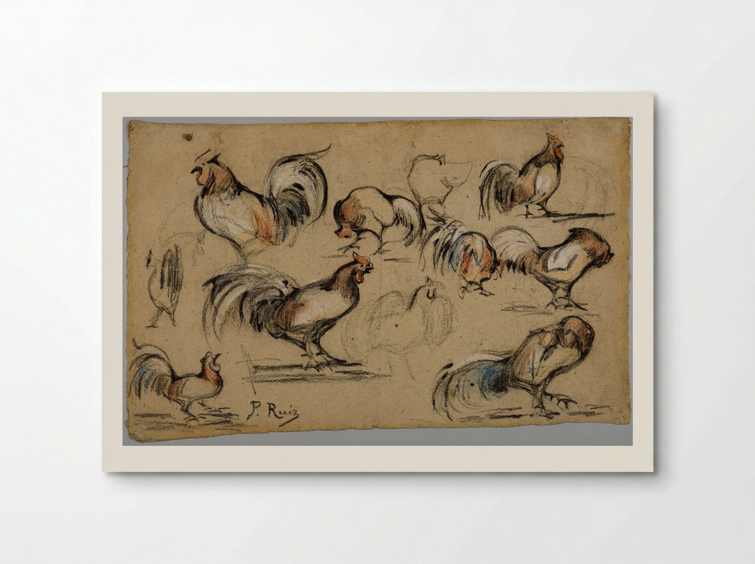 Studies of a Rooster - Pablo Picasso - Poster