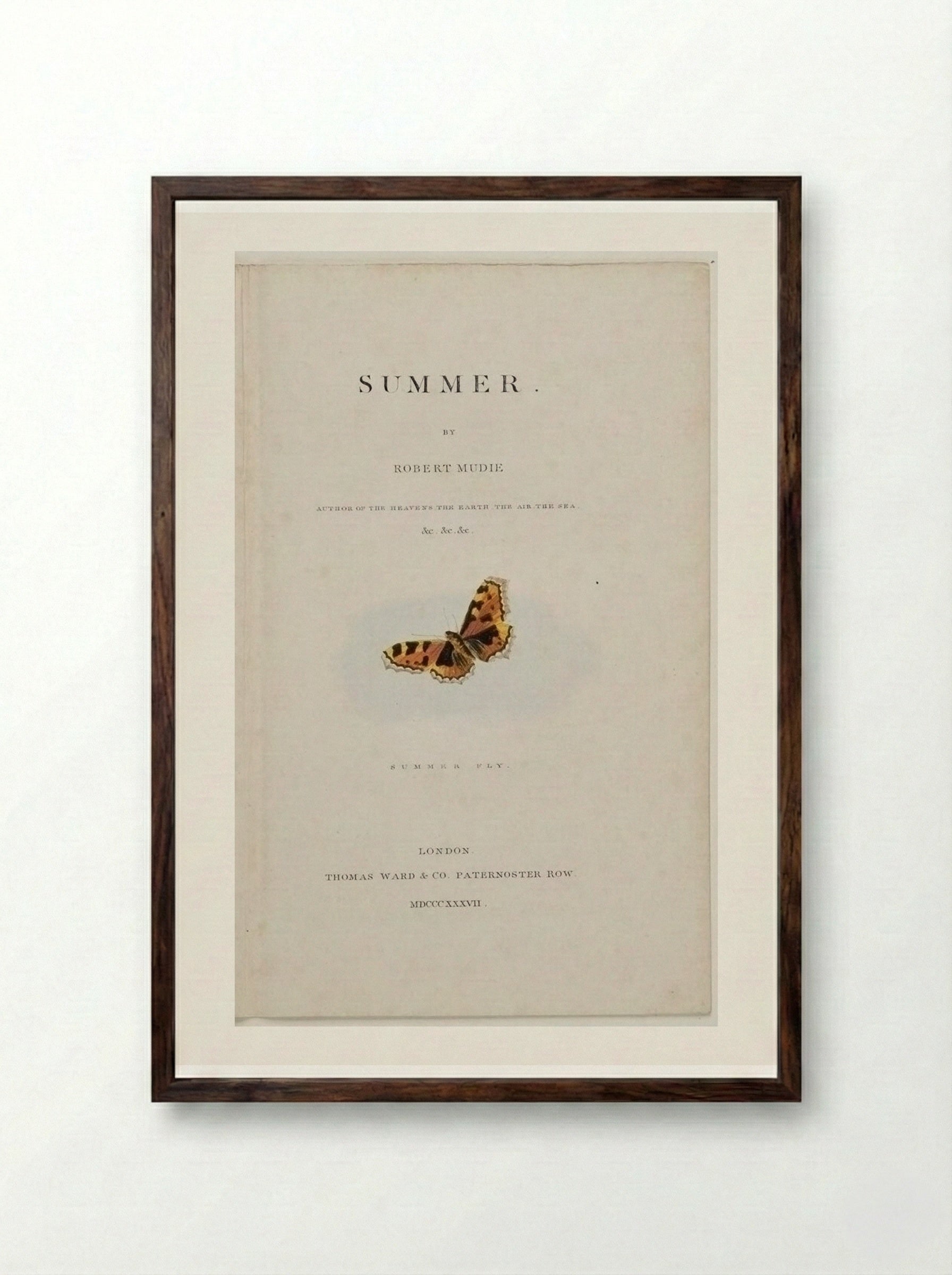 Summer Fly - George Baxter - Framed Print Dark Wood