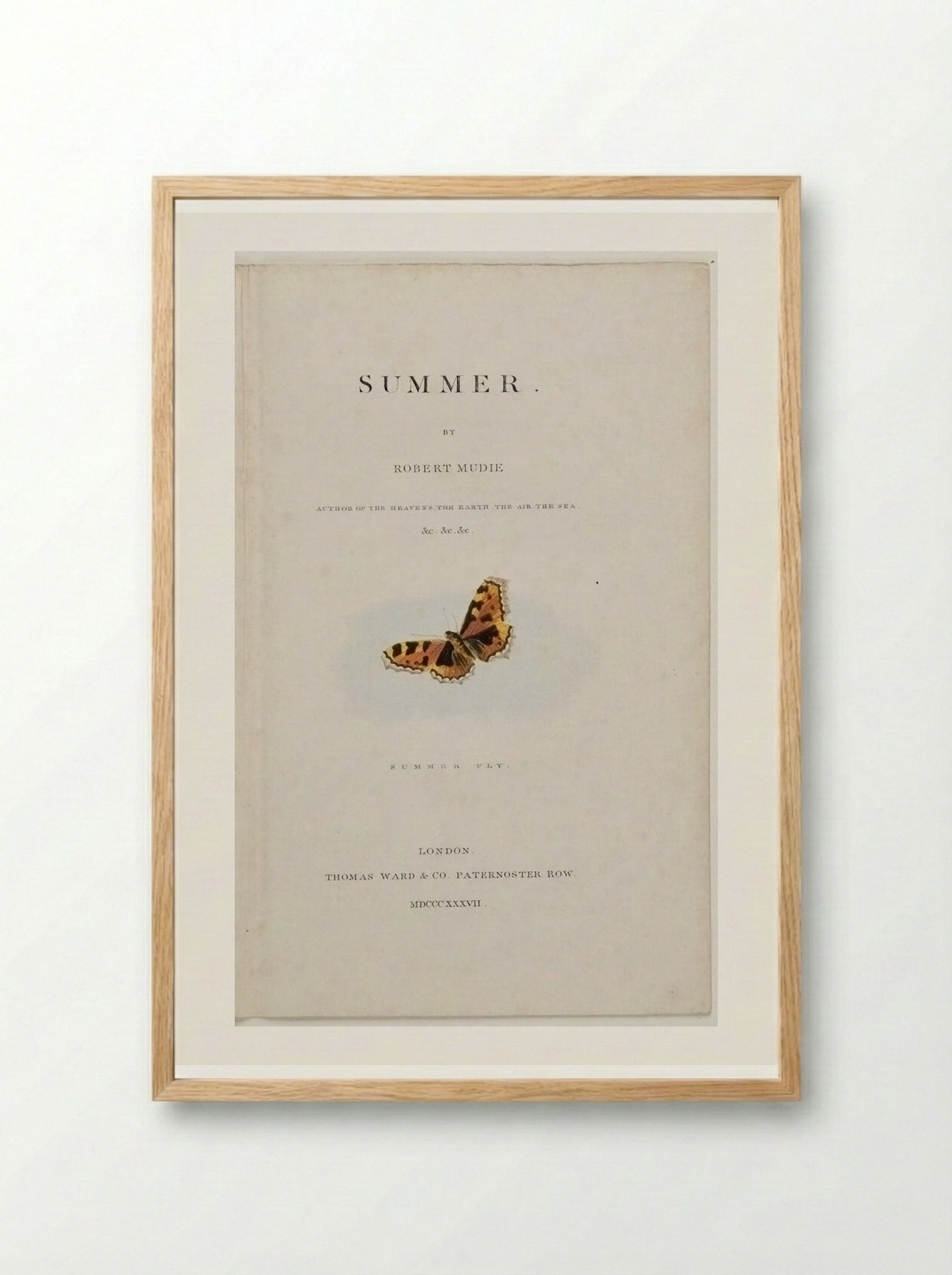 Summer Fly - George Baxter - Framed Print Wood