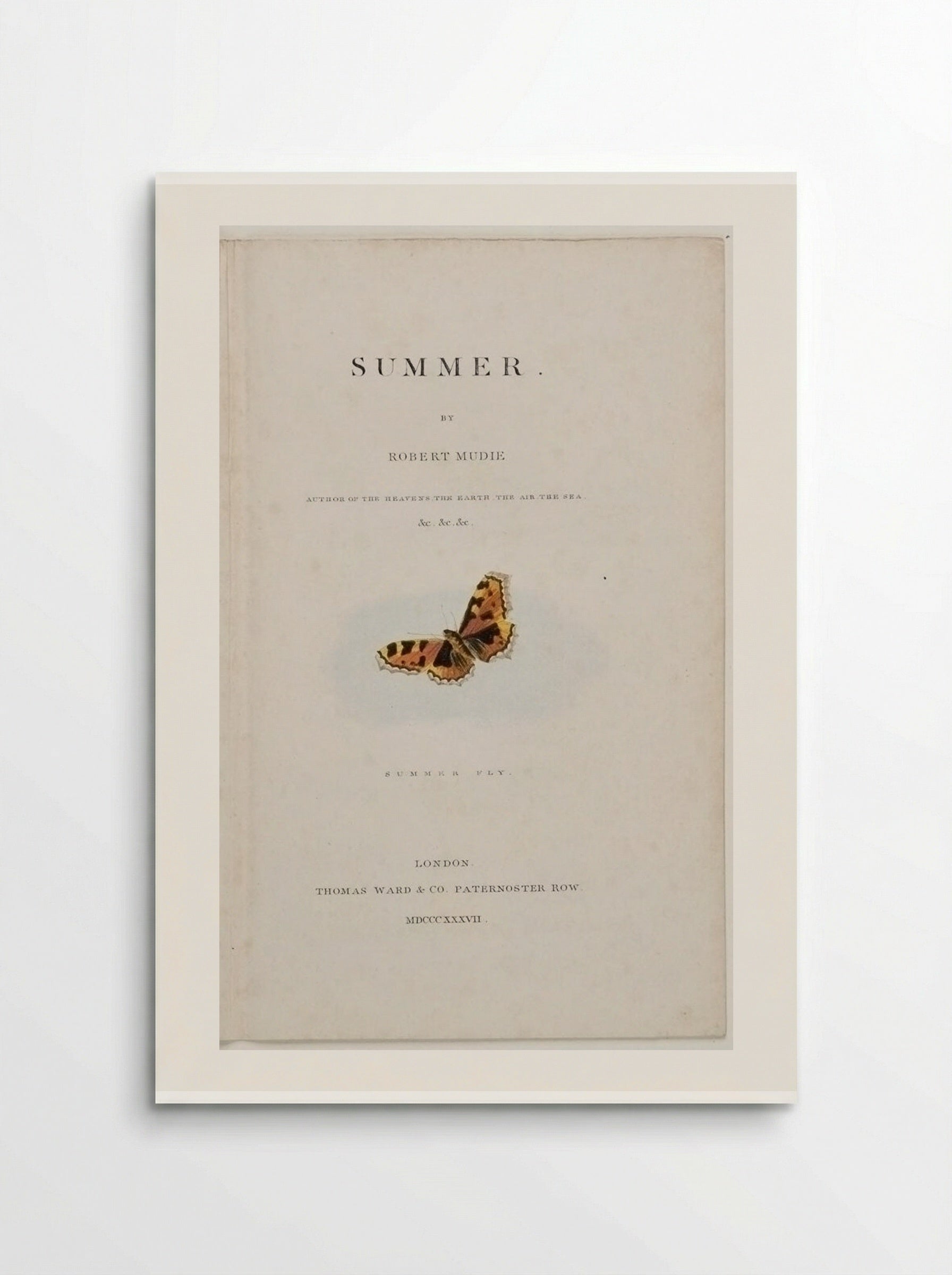 Summer Fly - George Baxter - Poster