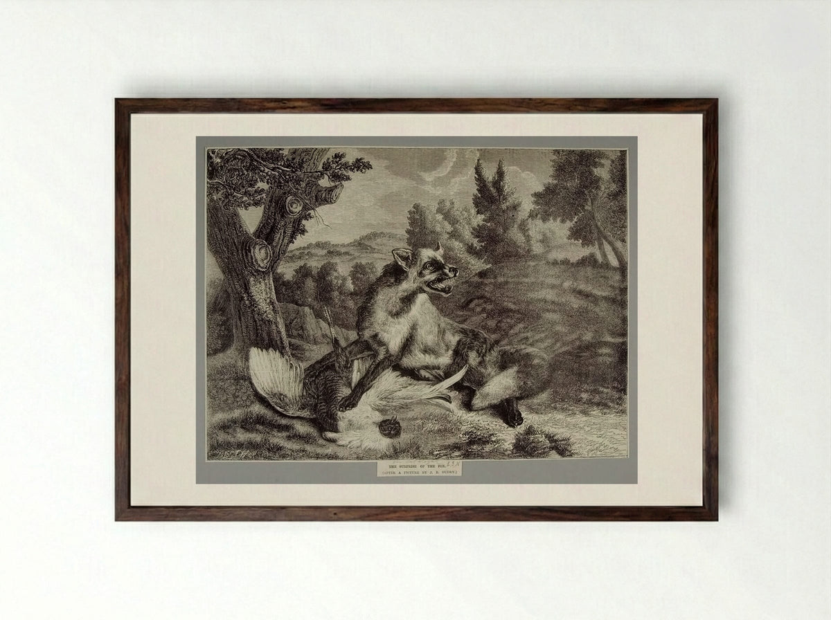 Surprise of the Fox - Best et Cie - Framed Print Dark Wood