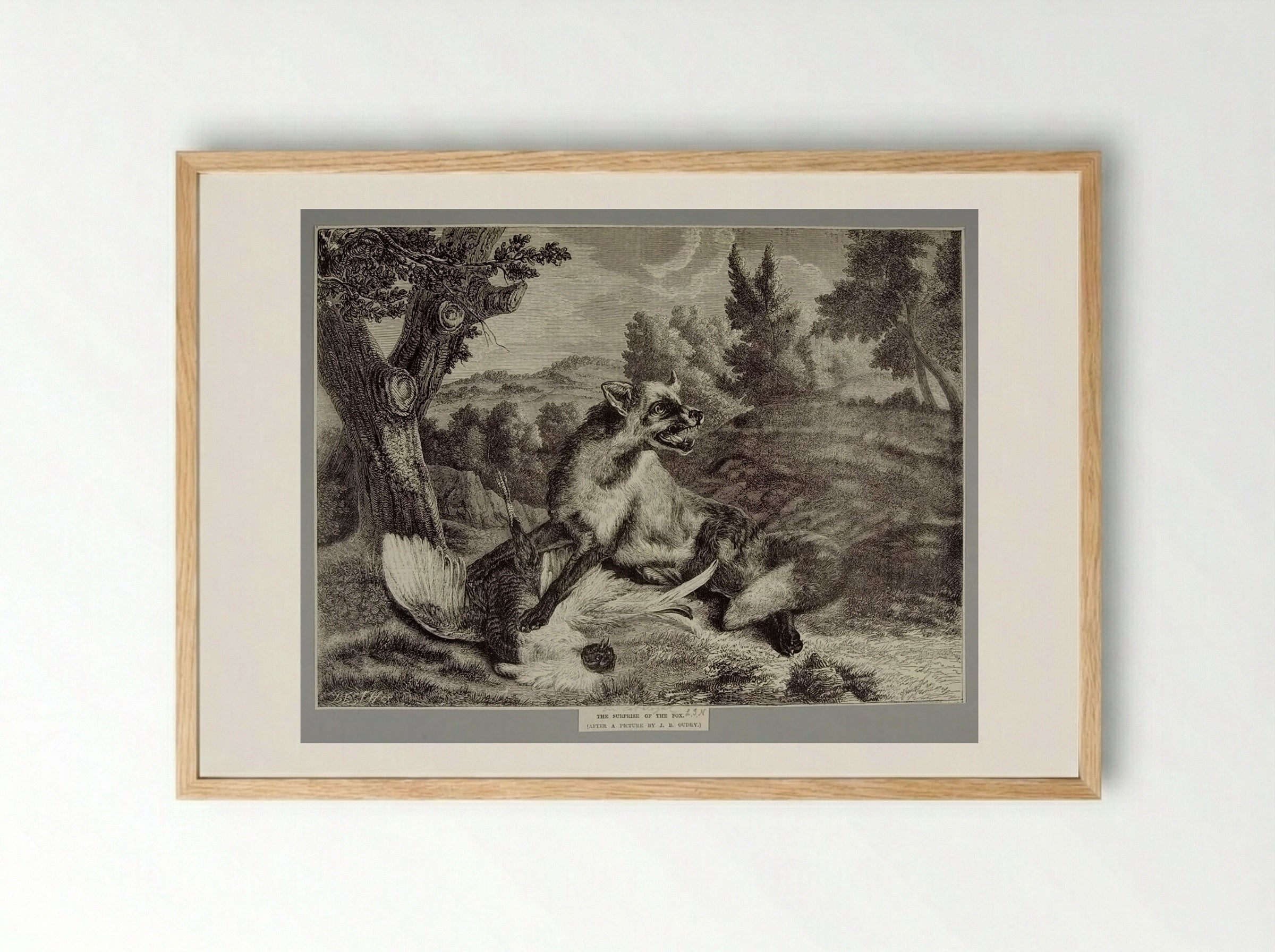 Surprise of the Fox - Best et Cie - Framed Print Wood
