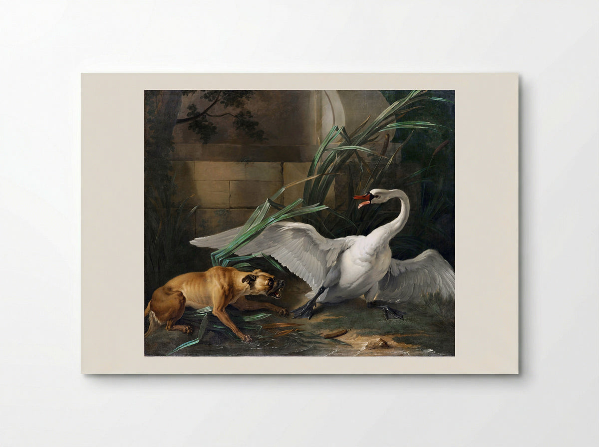 Swan Attacked by a Dog - Jean-Baptiste Oudry - Poster