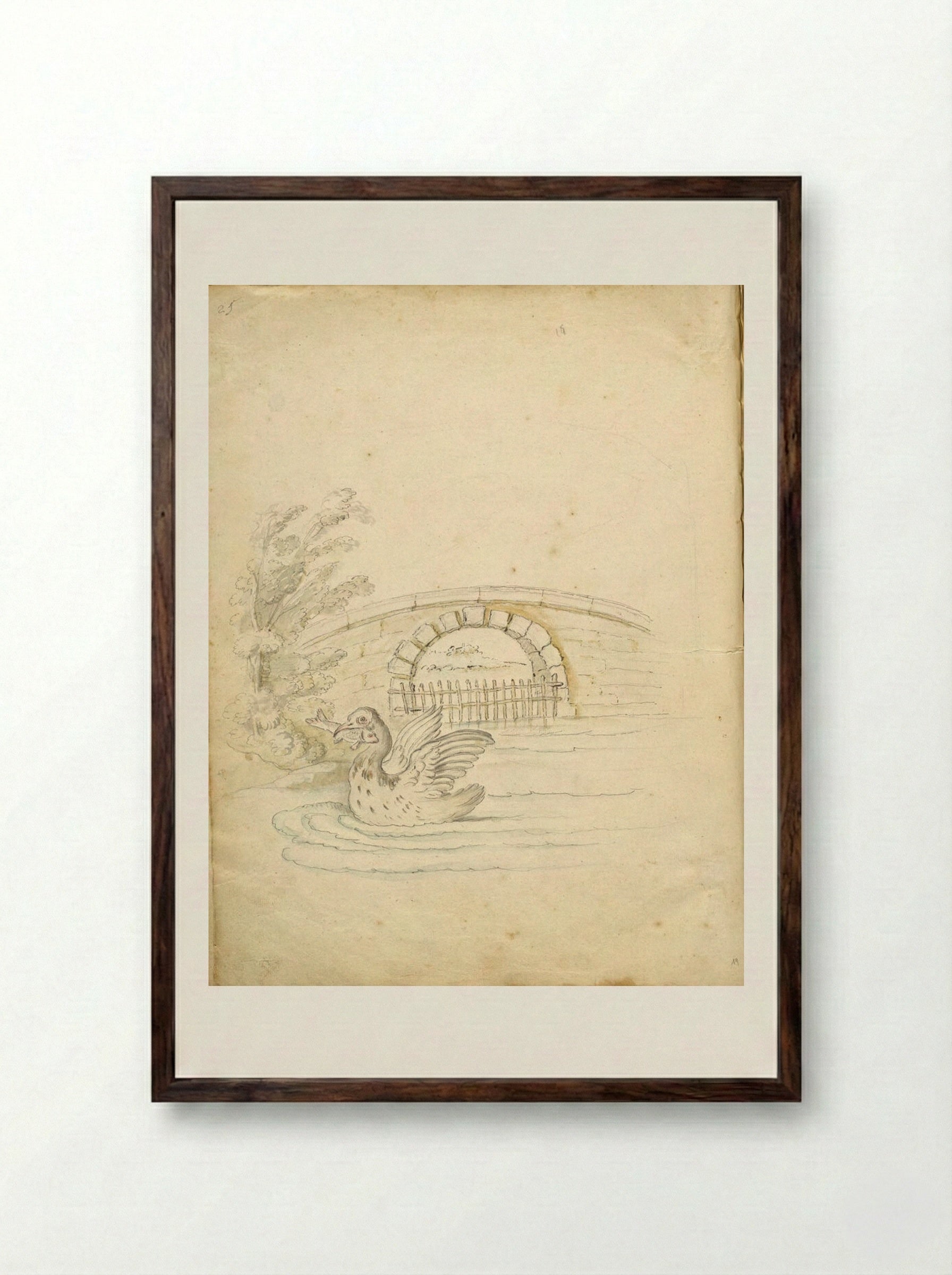 Swan Transporting a Fish - Jean-Baptiste Oudry - Framed Print Dark Wood