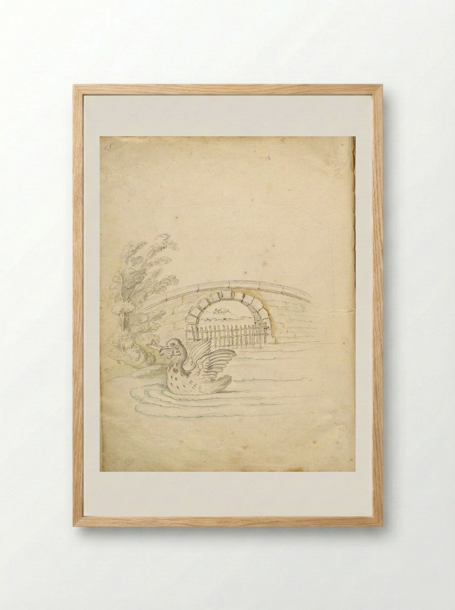 Swan Transporting a Fish - Jean-Baptiste Oudry - Framed Print Wood