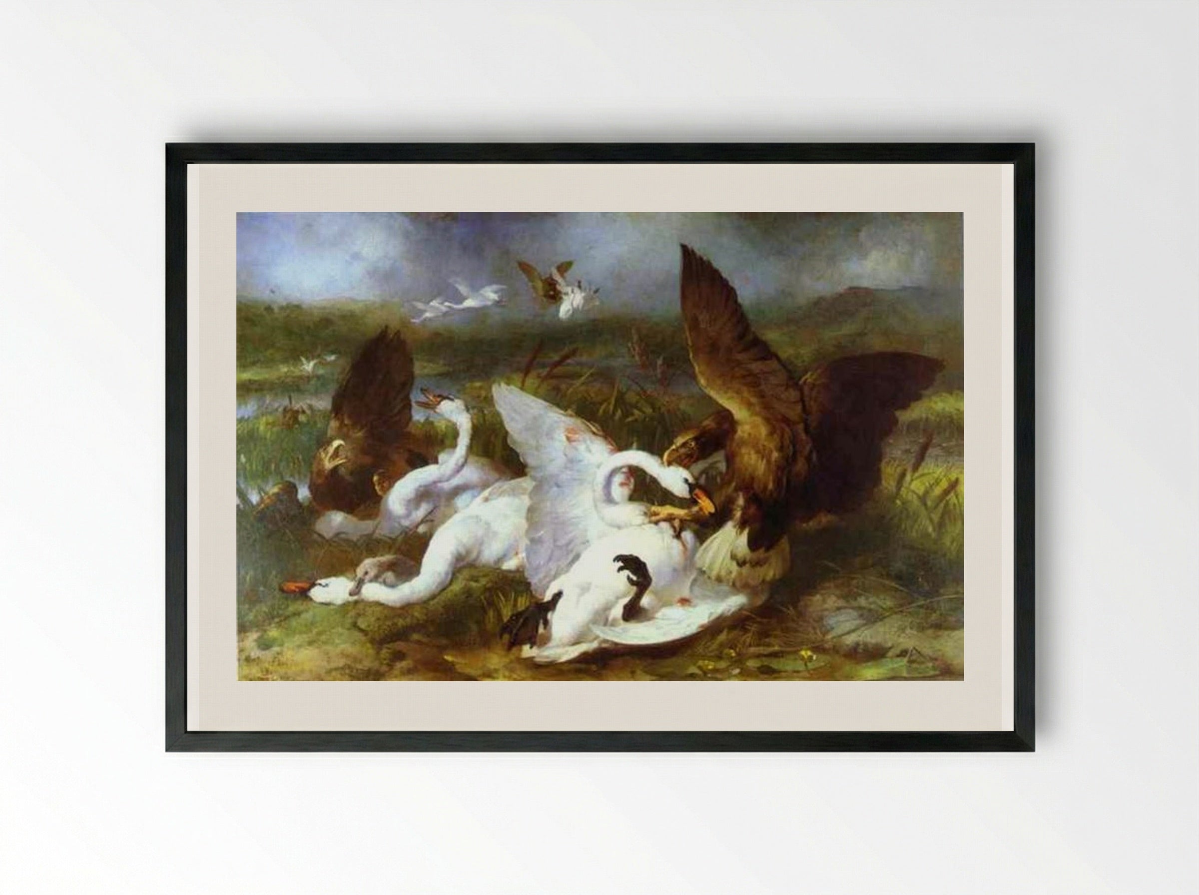 Swannery Invaded by Eagles - Edwin Henry Landseer - Framed Print Black