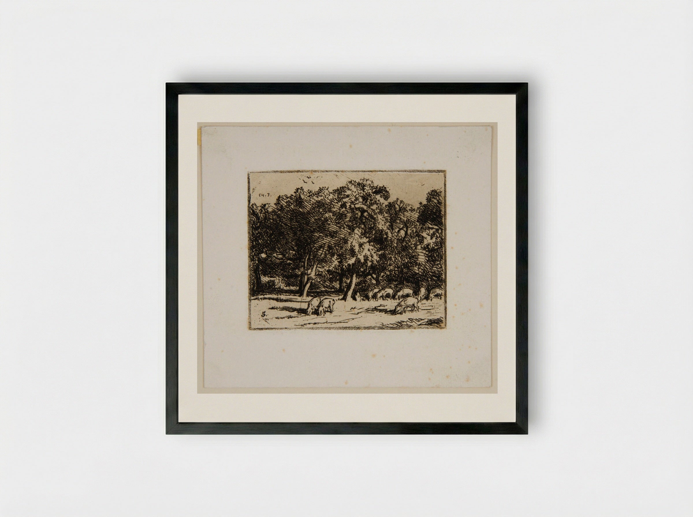 Swine - Charles-Émile Jacque - Framed Print Black