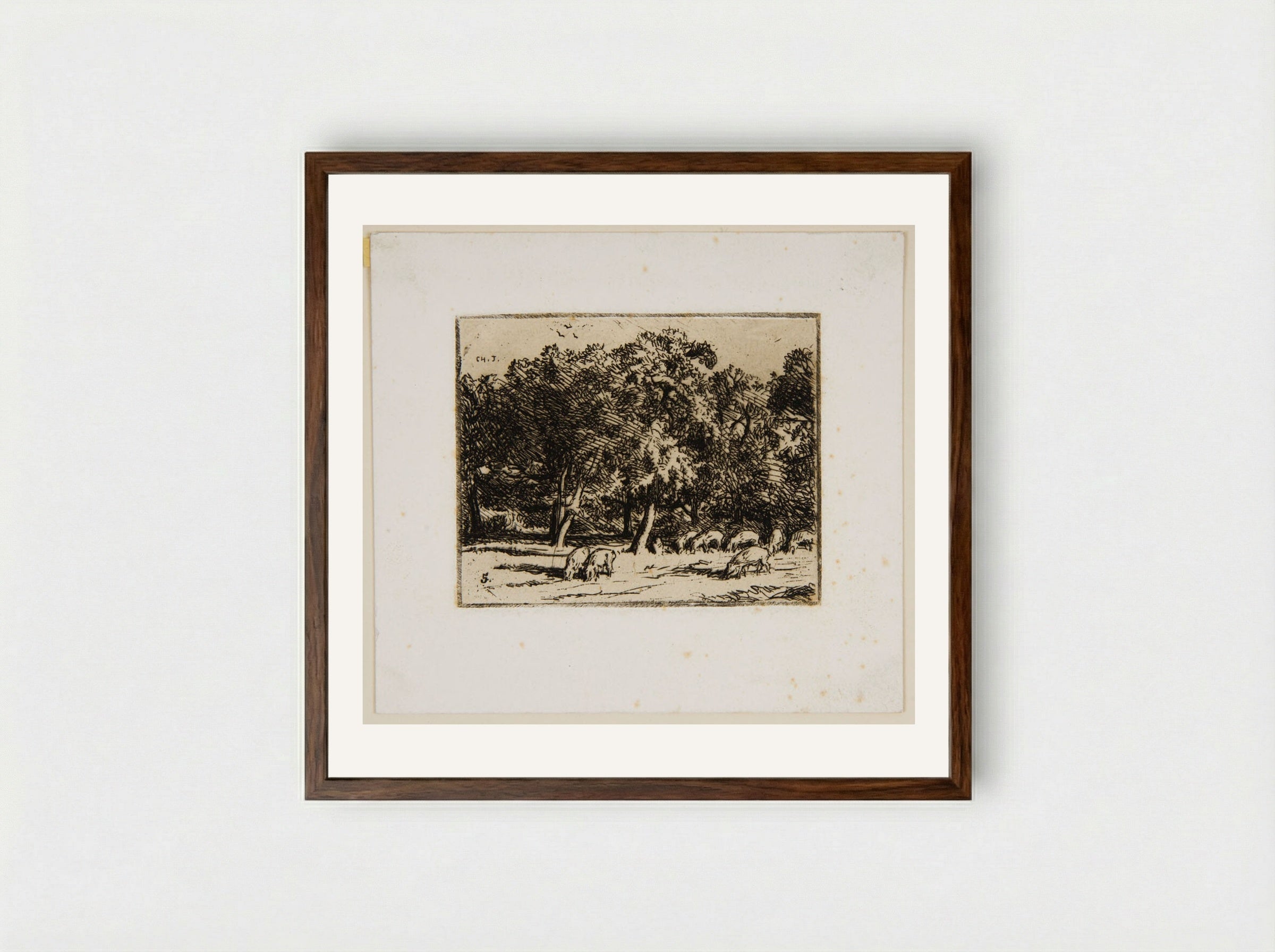 Swine - Charles-Émile Jacque - Framed Print Dark Wood