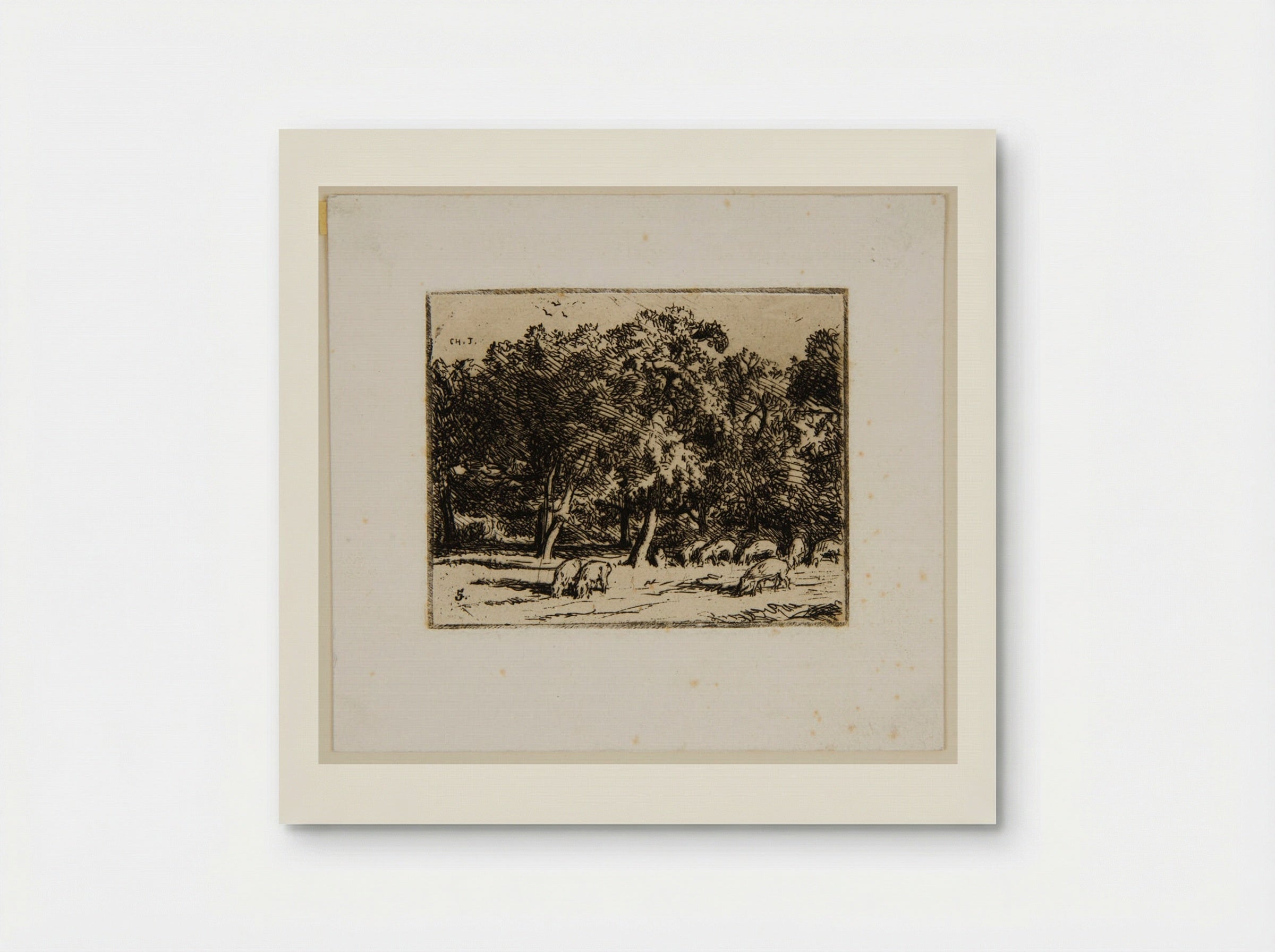 Swine - Charles-Émile Jacque - Poster