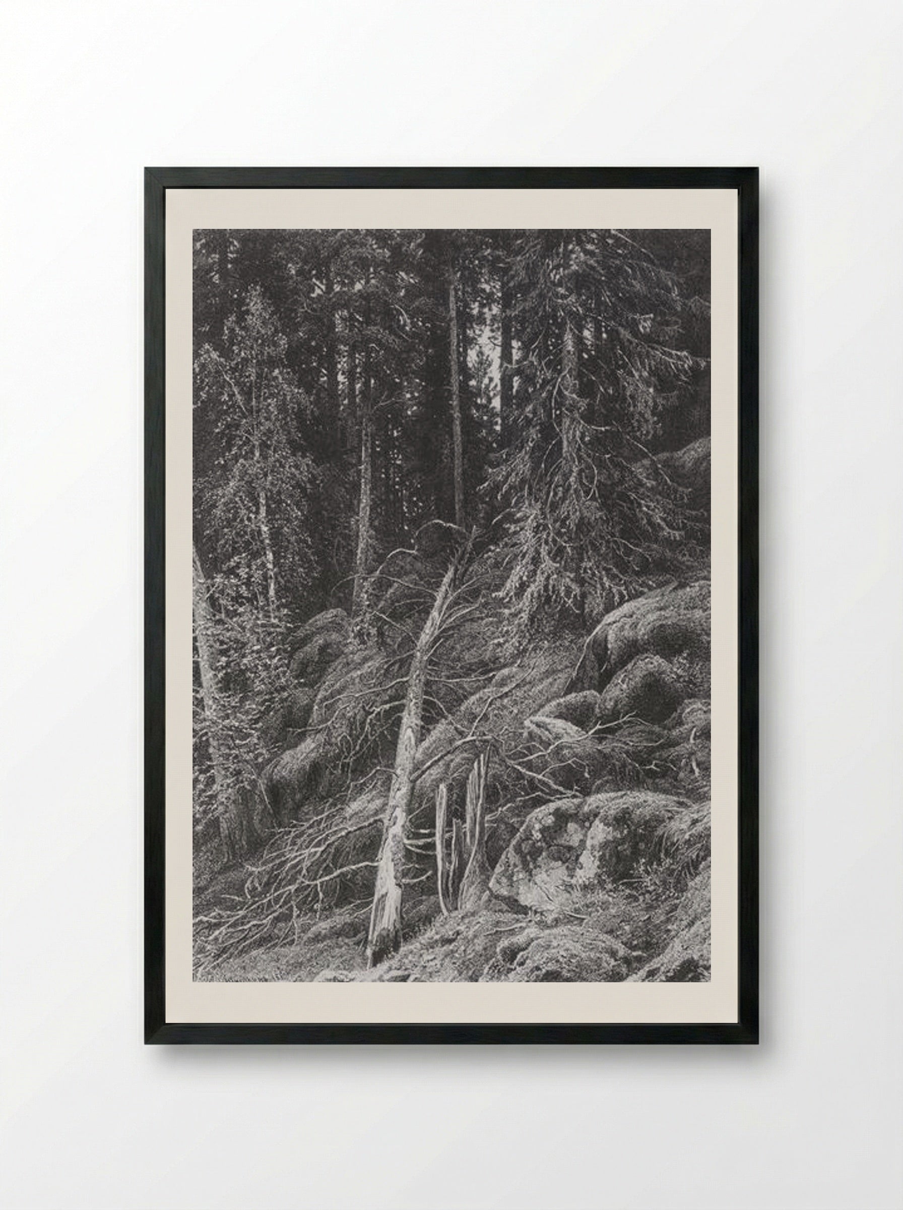 Taiga - Ivan Shishkin - Framed Print Black