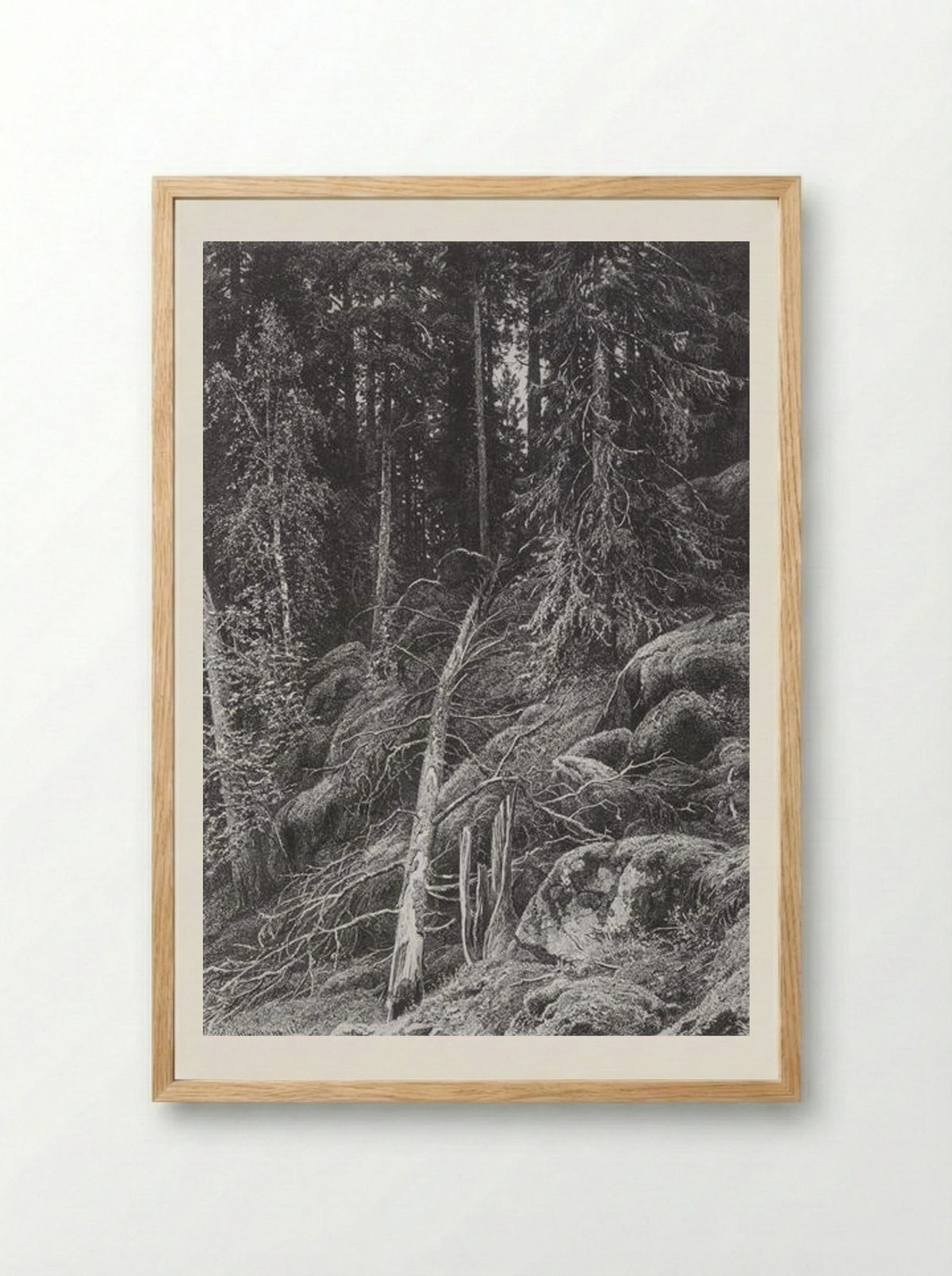 Taiga - Ivan Shishkin - Framed Print Wood