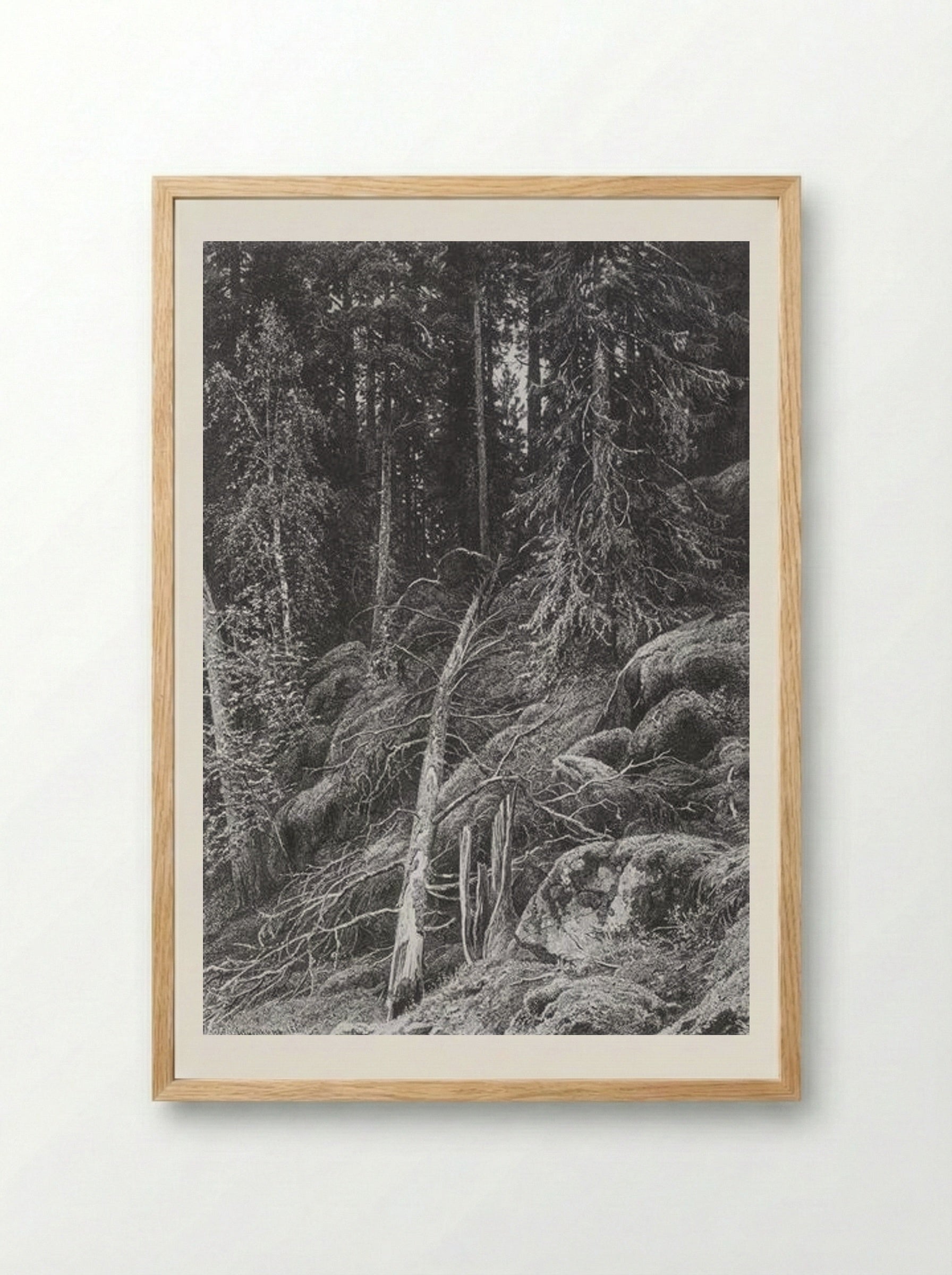 Taiga - Ivan Shishkin - Framed Print Wood