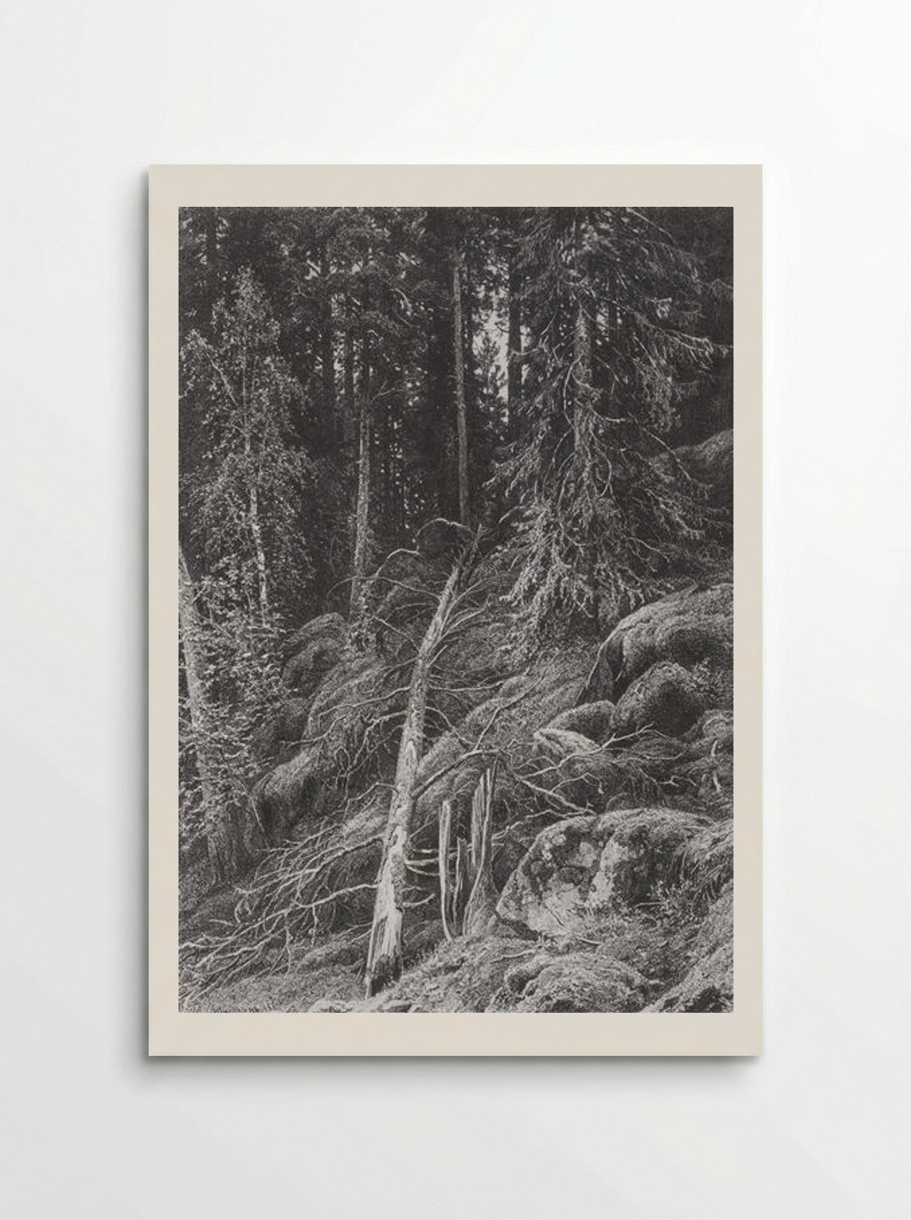 Taiga - Ivan Shishkin - Poster