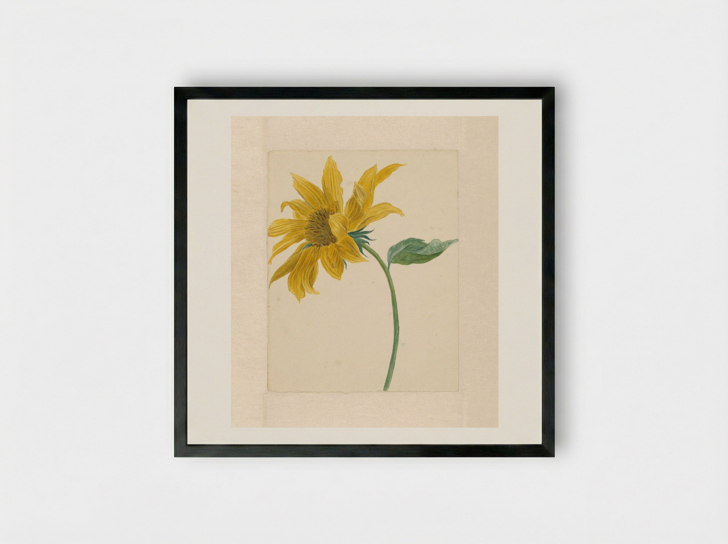 Tak met een zonnebloem - Michiel van Huysum - Framed Print Black