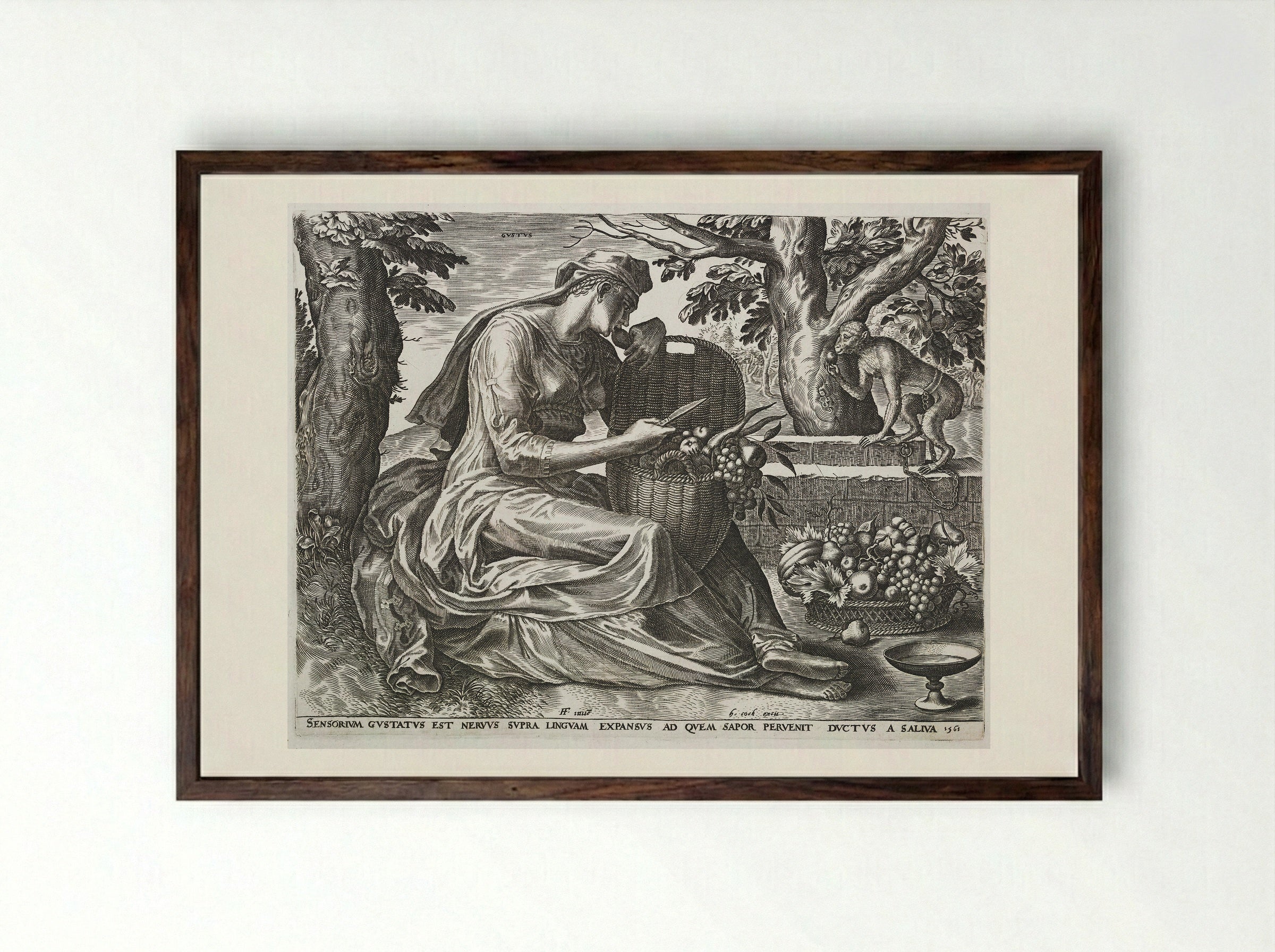 Taste (Gustus) - Cornelis Cort - Framed Print Dark Wood