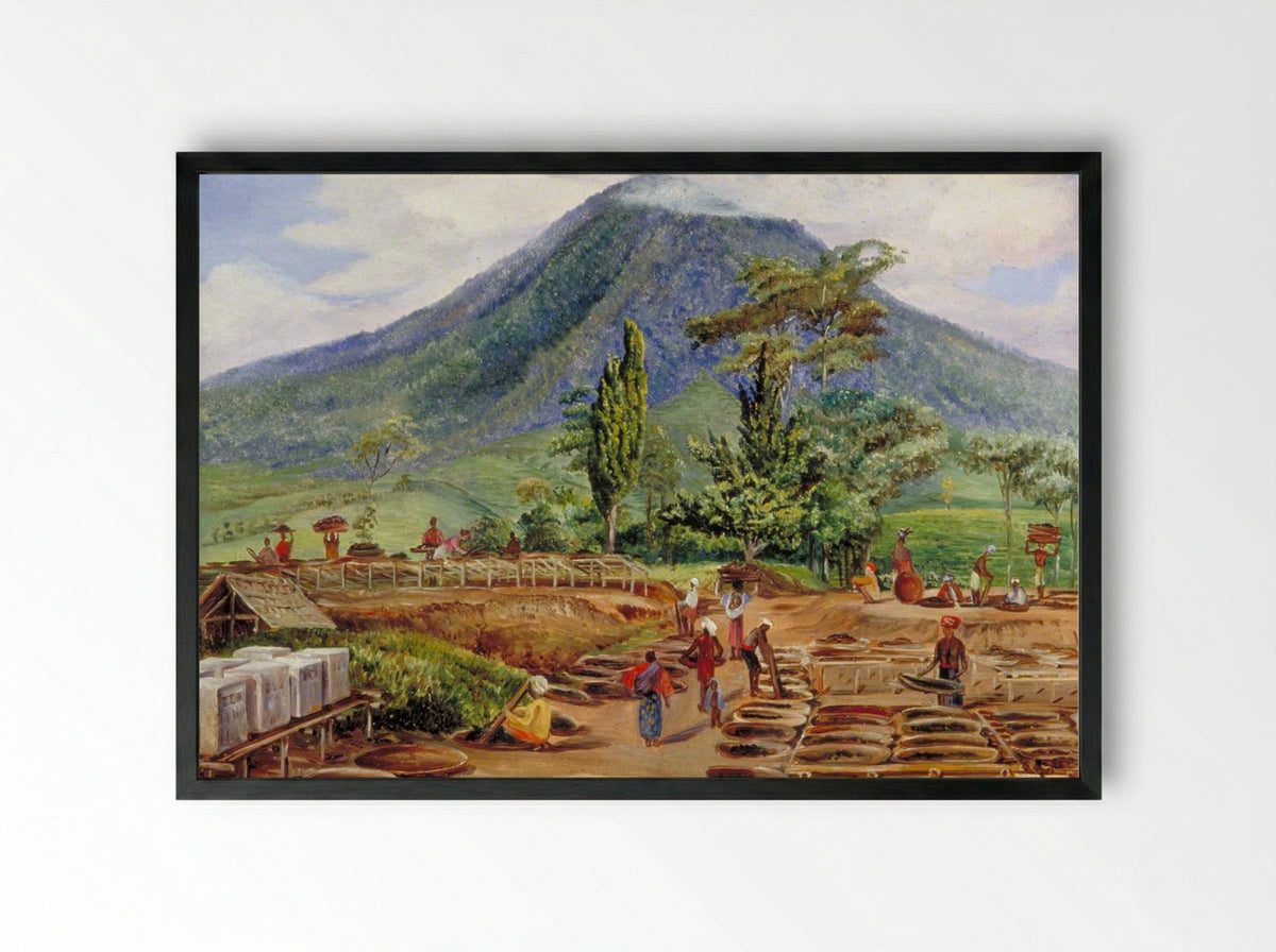 Tea-Drying in Mr Hölle's Establishment, Java - Marianne North - Framed Print Black