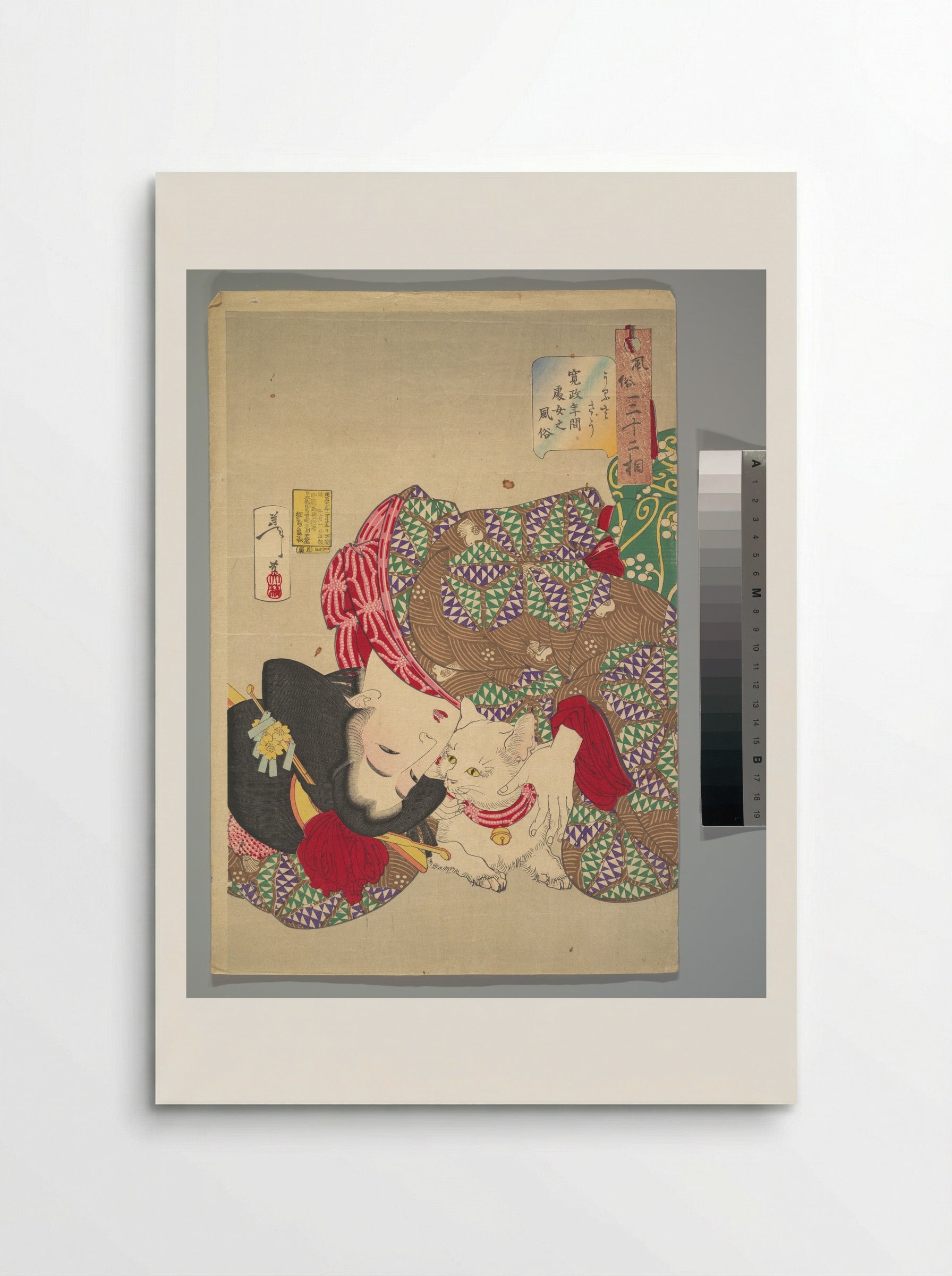 Teasing the Cat - Tsukioka Yoshitoshi - Poster