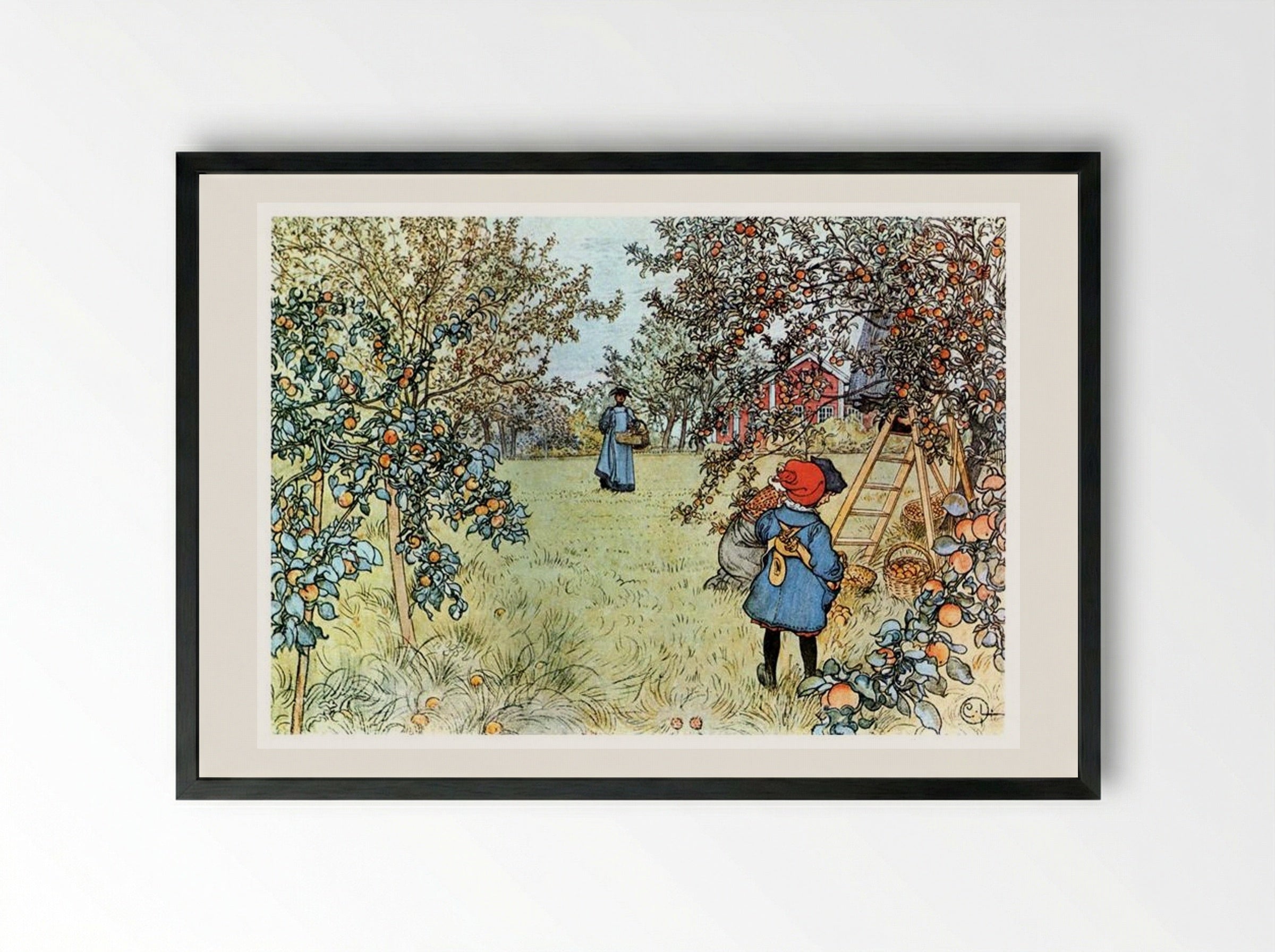 The Apple Harvest - Carl Larsson - Framed Print Black