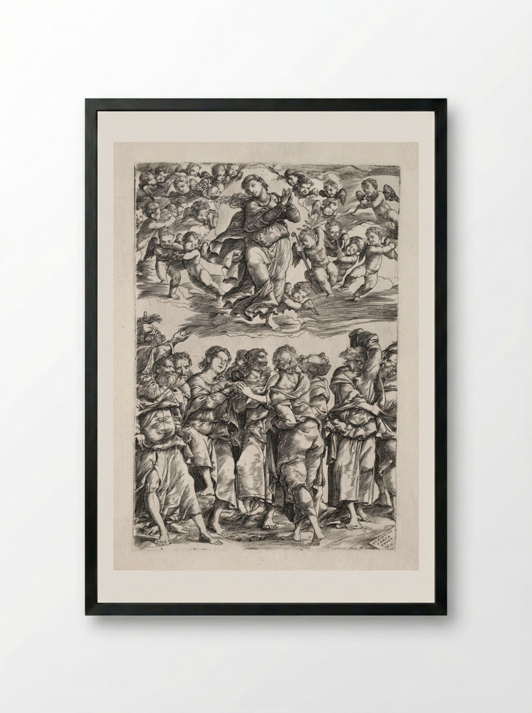 The Assumption of the Virgin - Domenico Campagnola - Framed Print Black