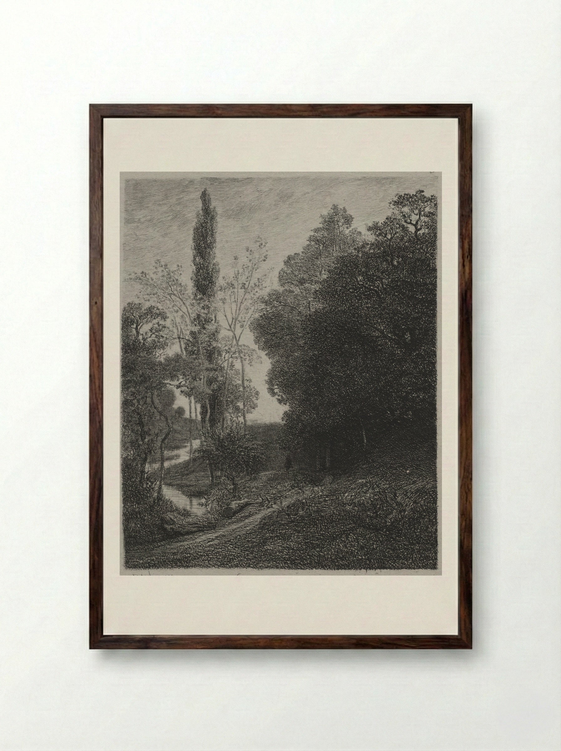 The Banks of the River - Charles-Francois Daubigny - Framed Print Dark Wood