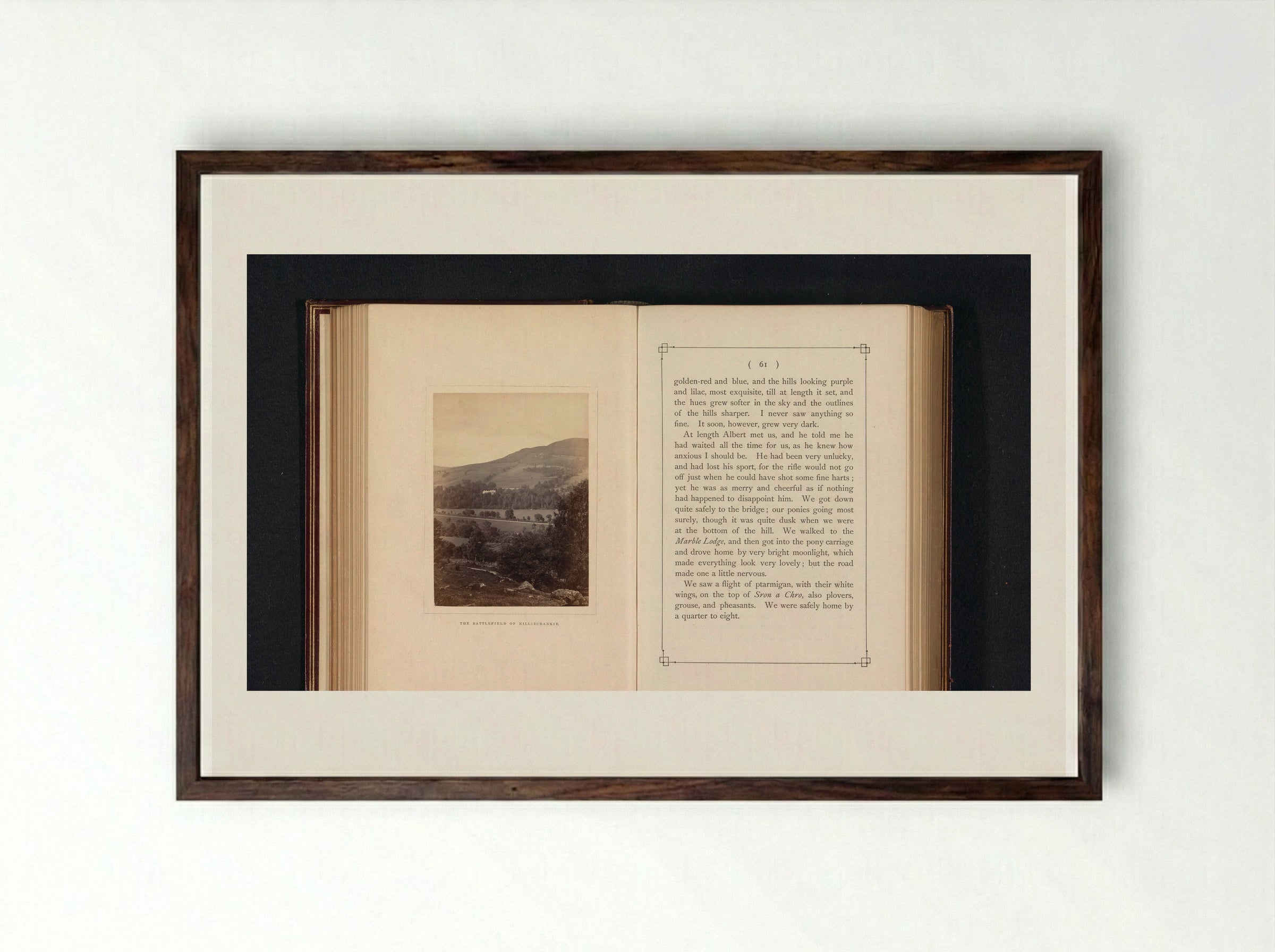 The Battlefield of Killiecrankie - George Washington Wilson - Framed Print Dark Wood