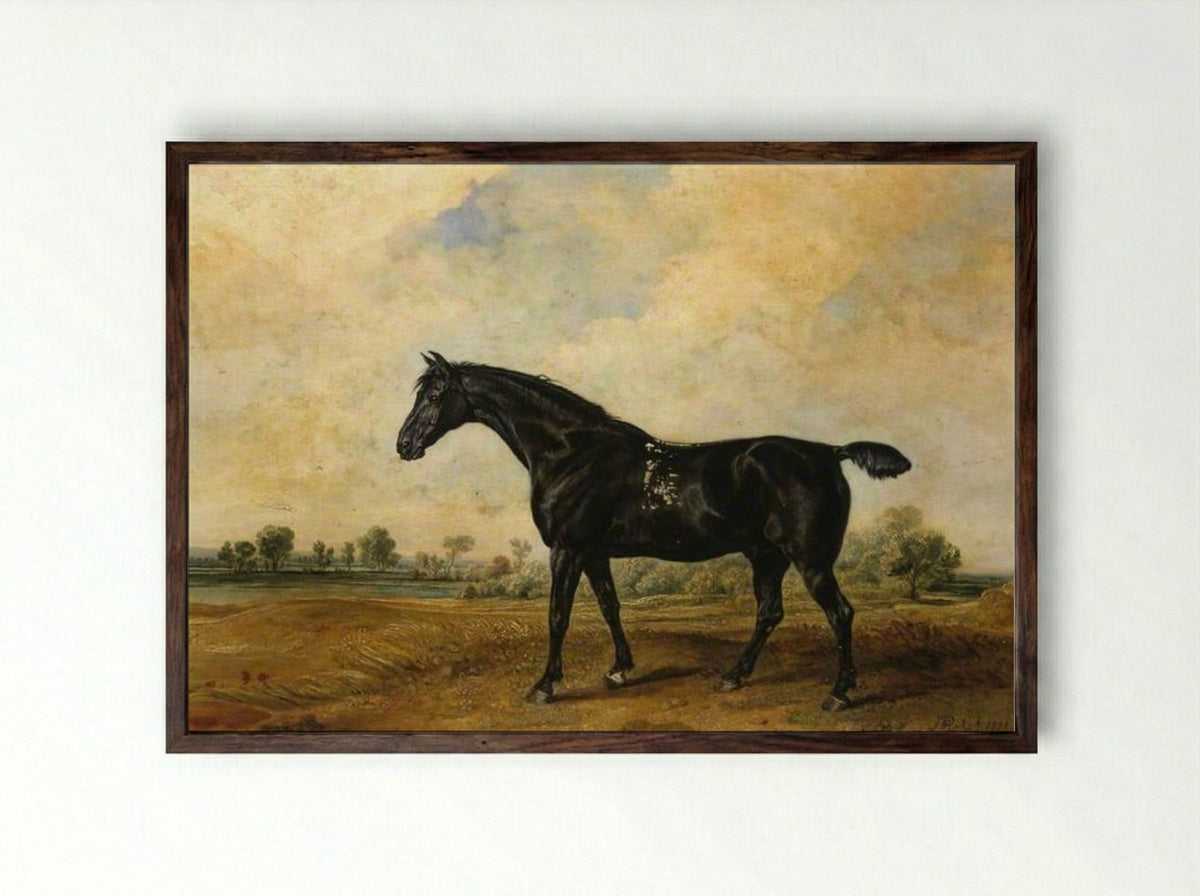 The Black Horse - James Ward - Framed Print Dark Wood