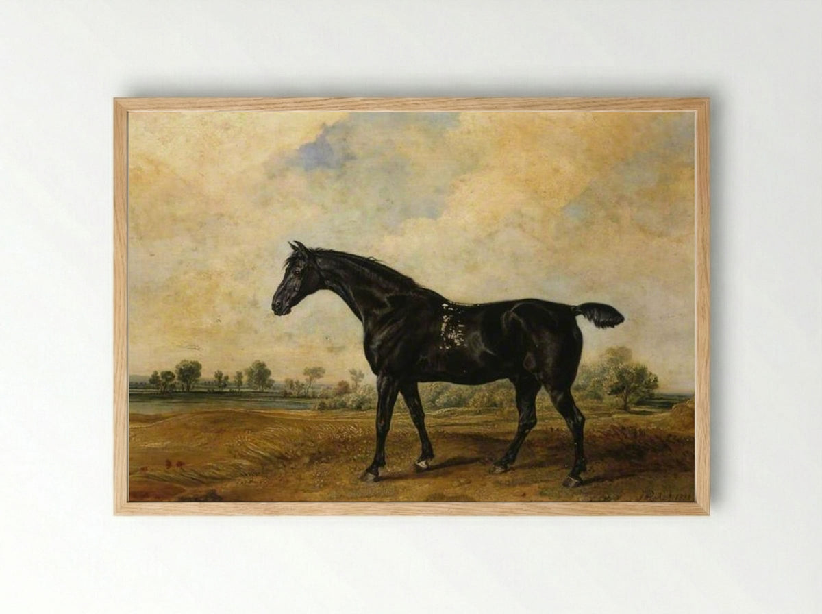 The Black Horse - James Ward - Framed Print Wood